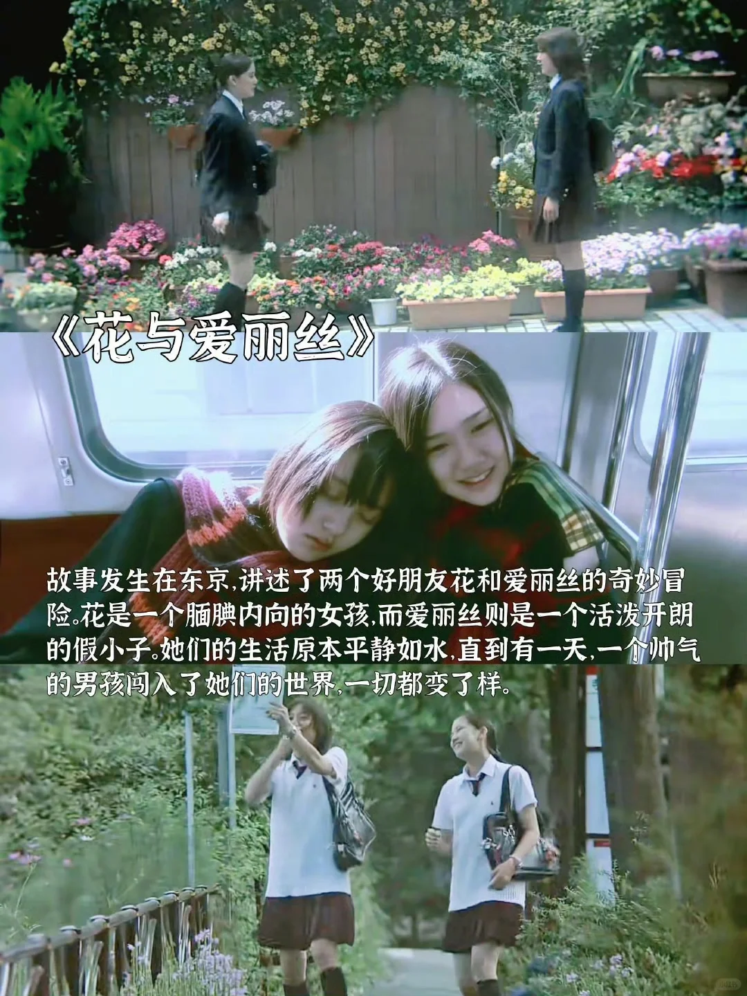 适合春天看的高分治愈系电影 📷