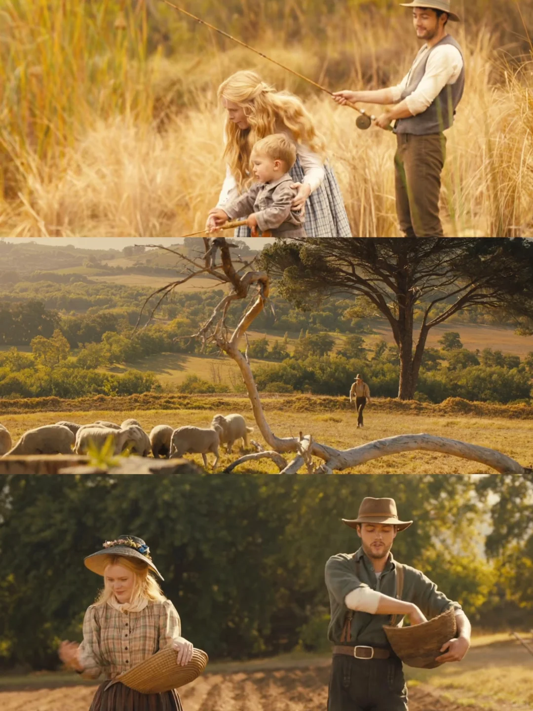 一部浪漫又小众的纯爱电影‼️都快去看😍