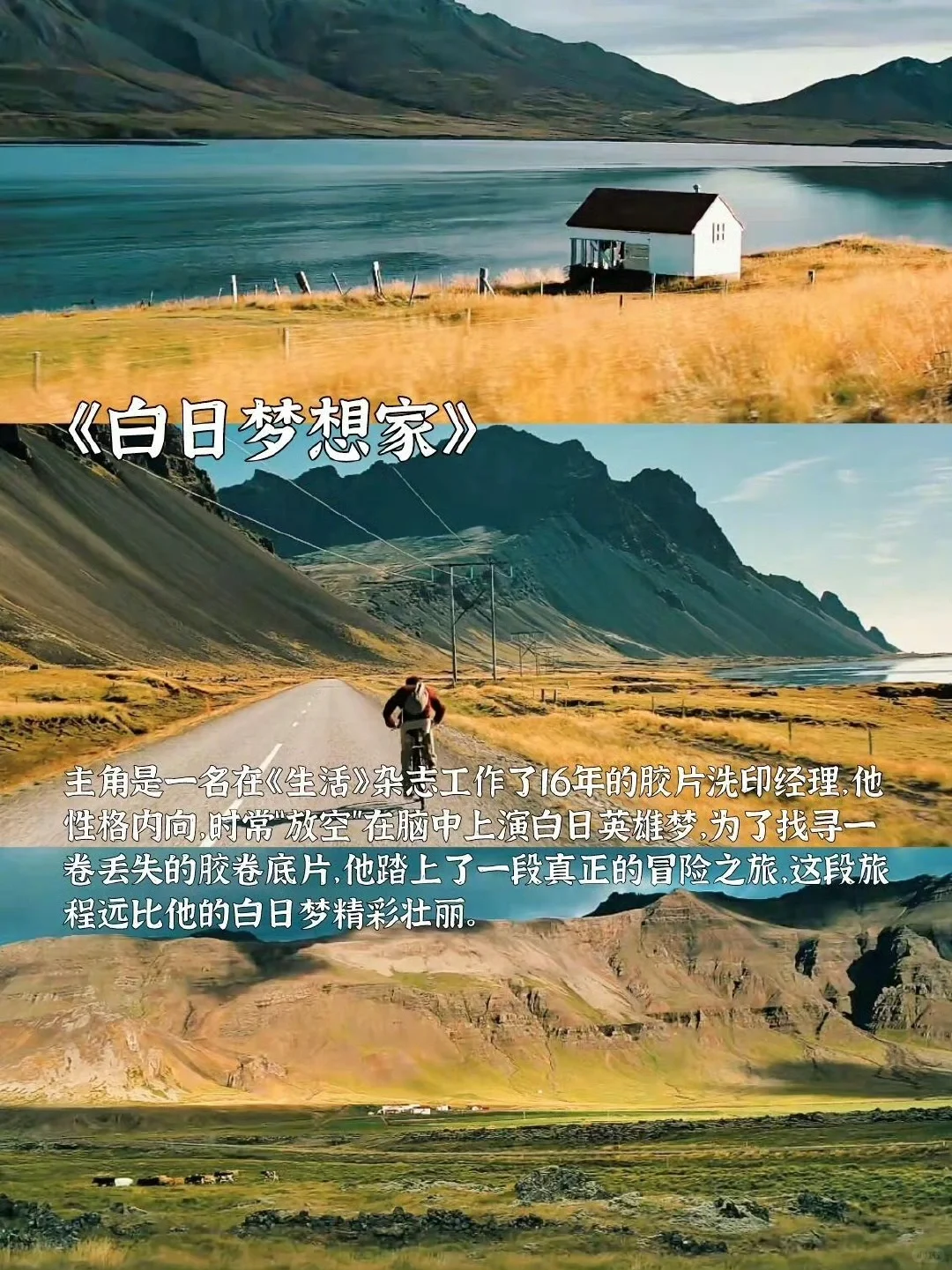 适合春天看的高分治愈系电影 📷