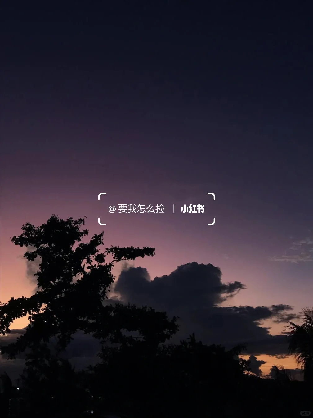 无法拒绝的手机应用