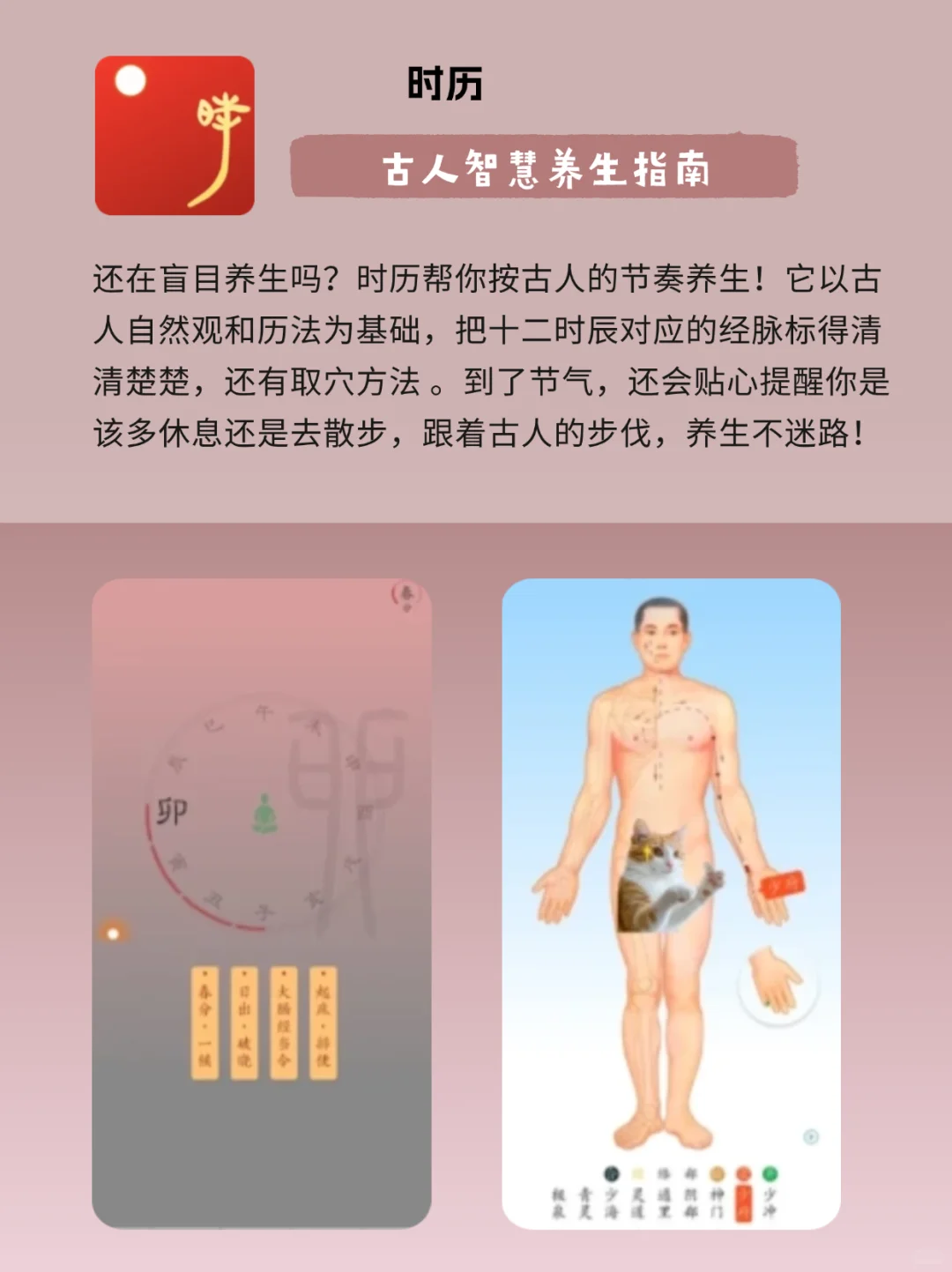 脆皮年轻人必看！6 款养生 APP