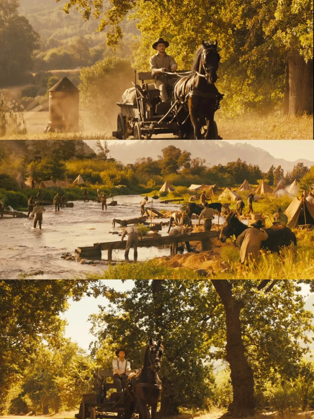 一部浪漫又小众的纯爱电影‼️都快去看😍