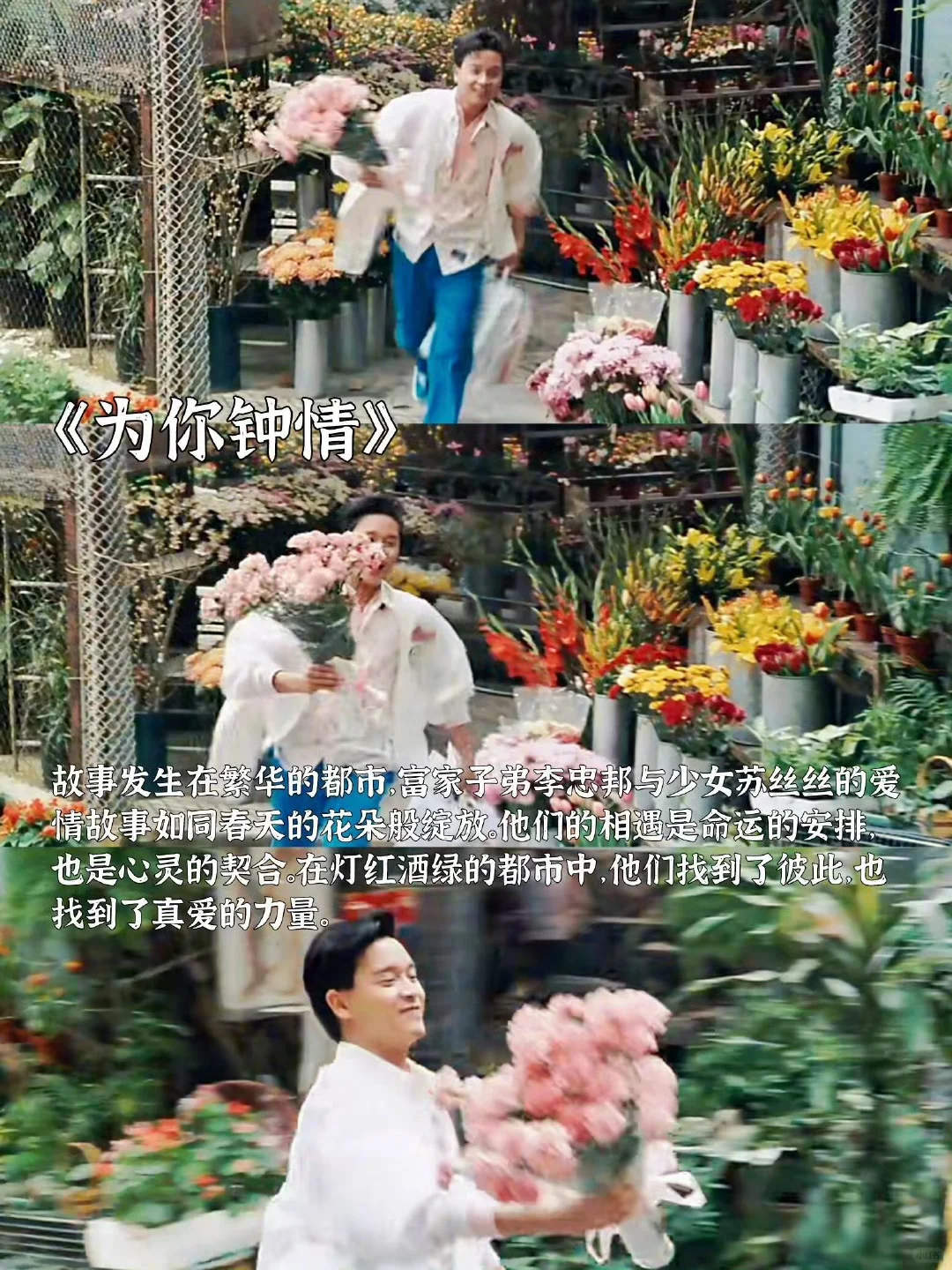 适合春天看的高分治愈系电影 📷