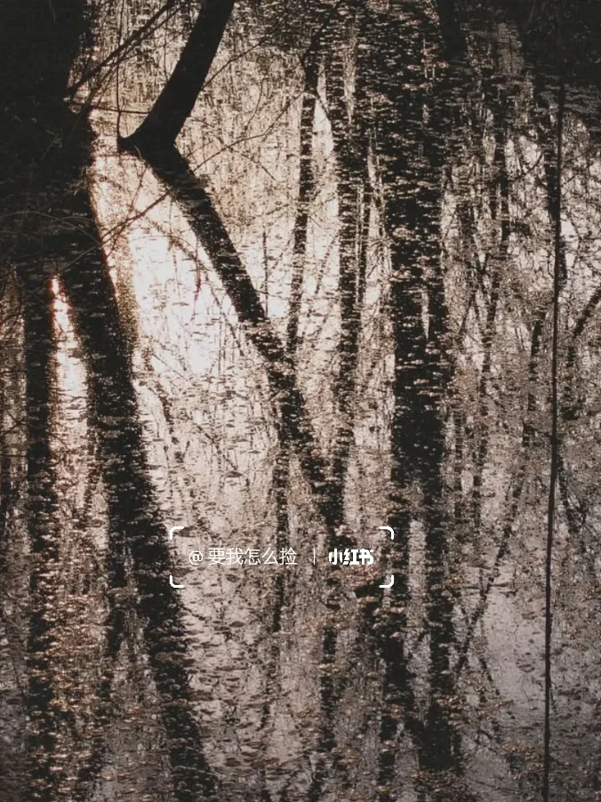 无法拒绝的手机应用