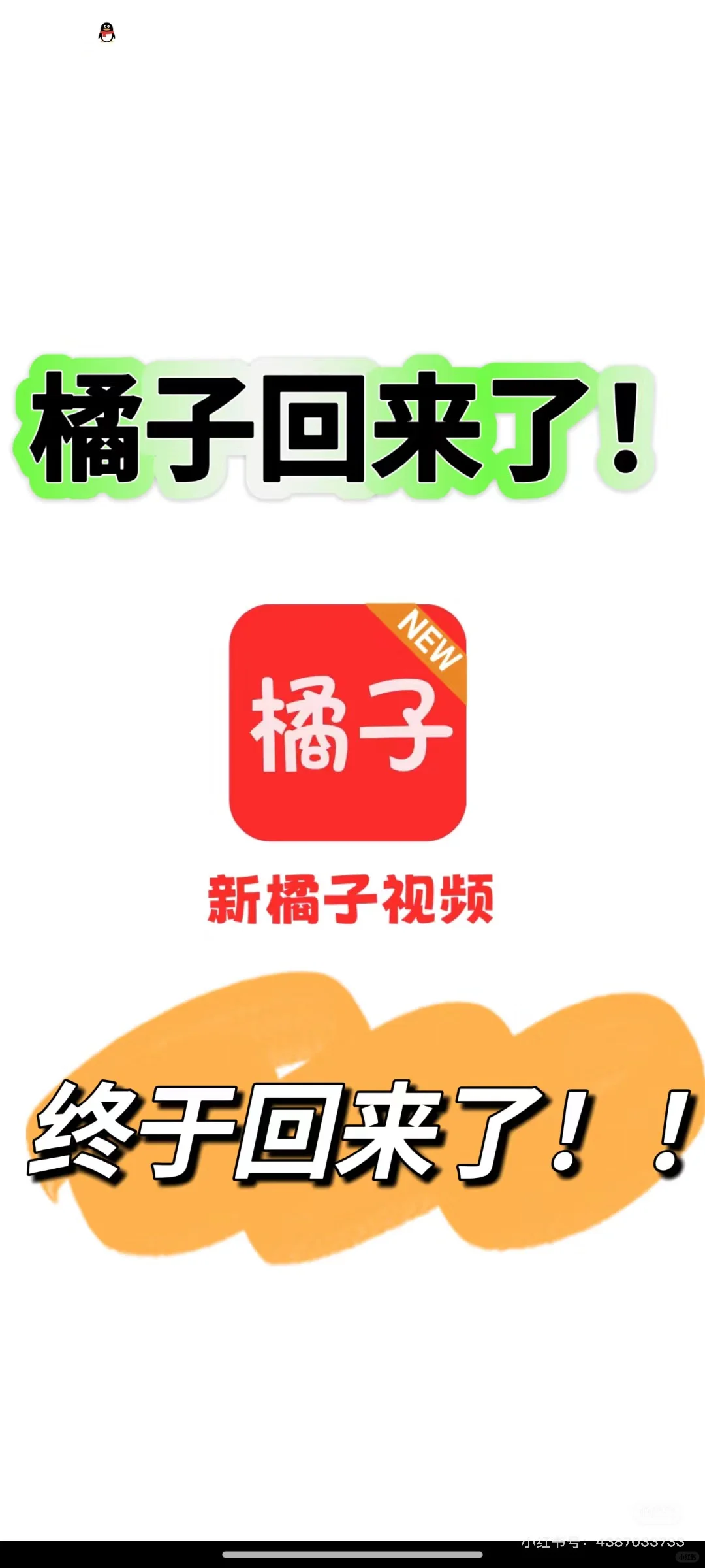 🔥心心念念的橘子🍊回来了！