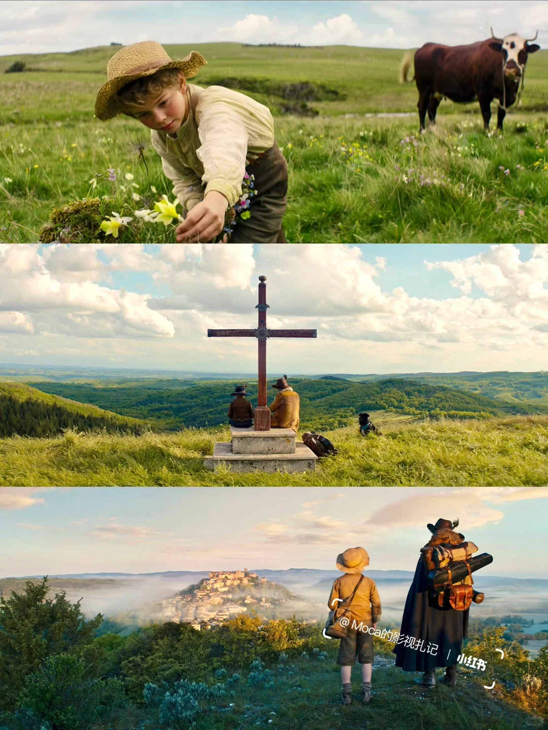 这么好看的电影我怎么才发现！！！