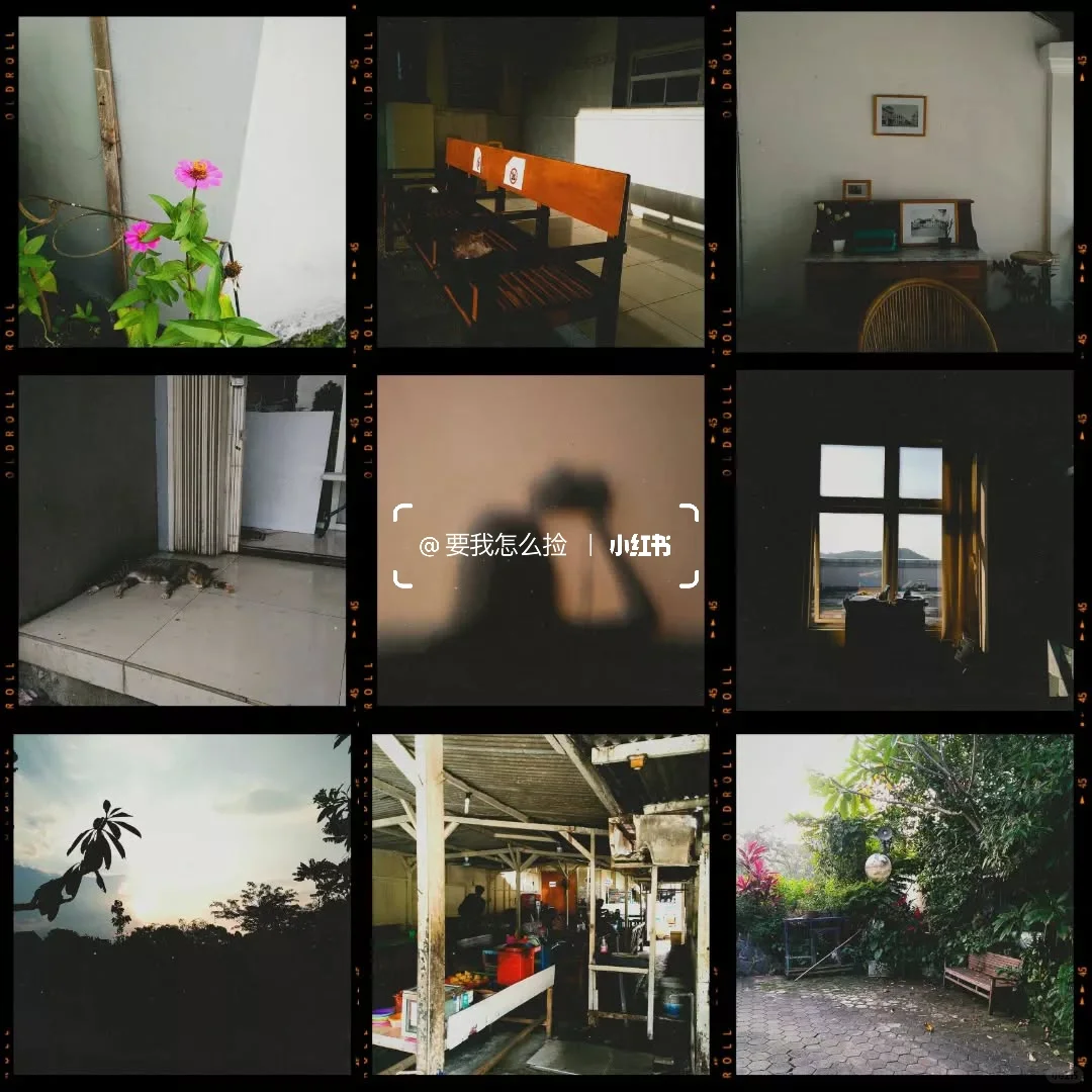 无法拒绝的手机应用