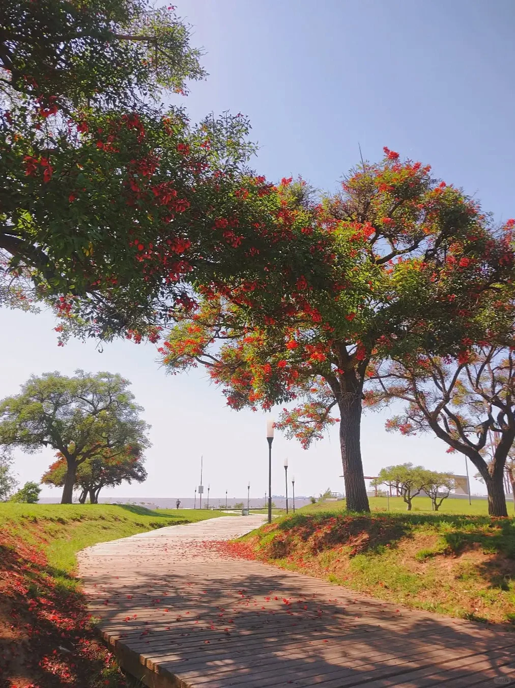 无法拒绝的手机应用