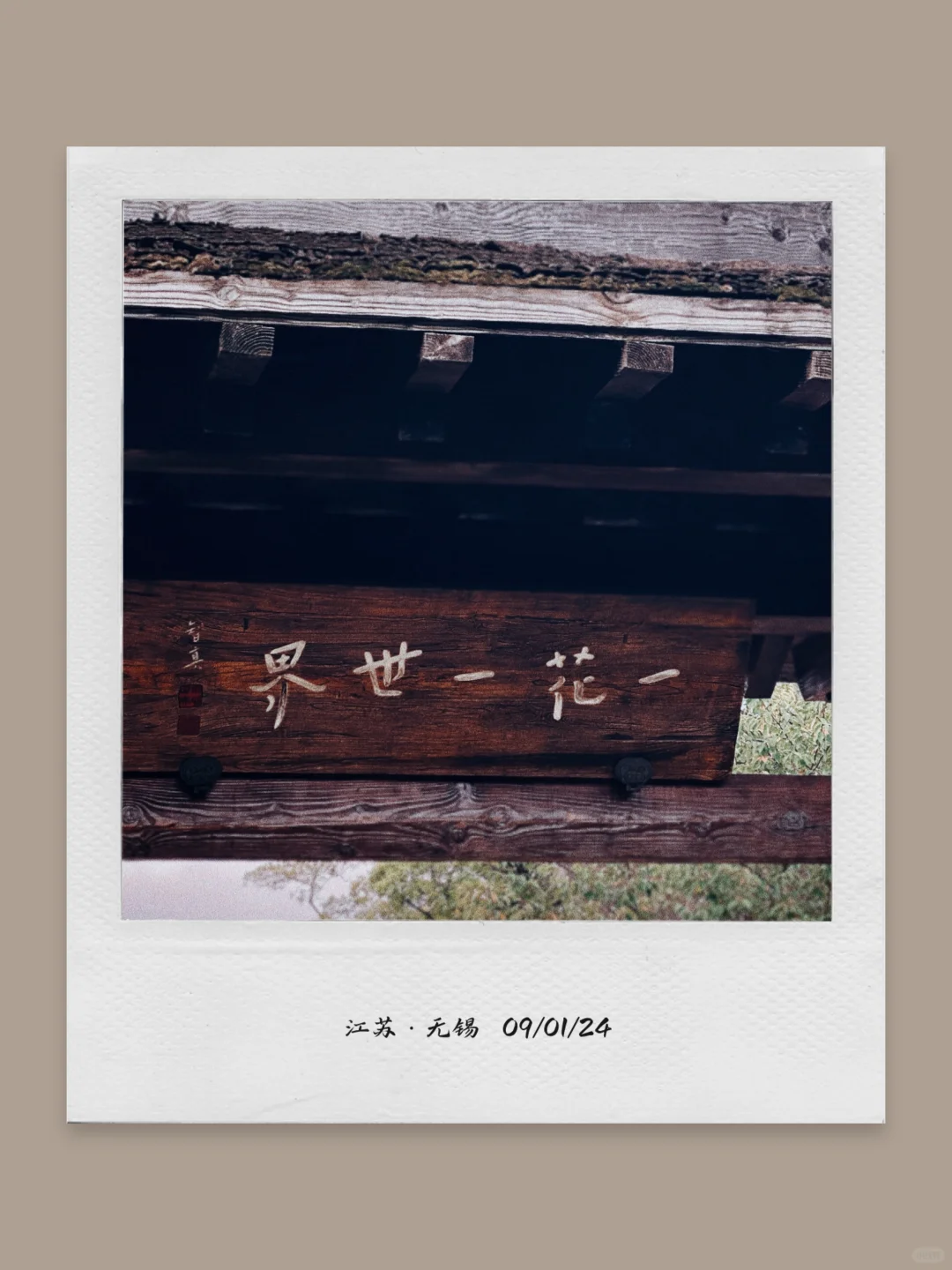 这个App太适合日常碎片plog了❗️照片长图