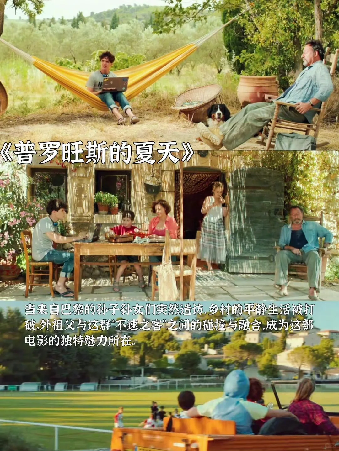 适合春天看的高分治愈系电影 📷