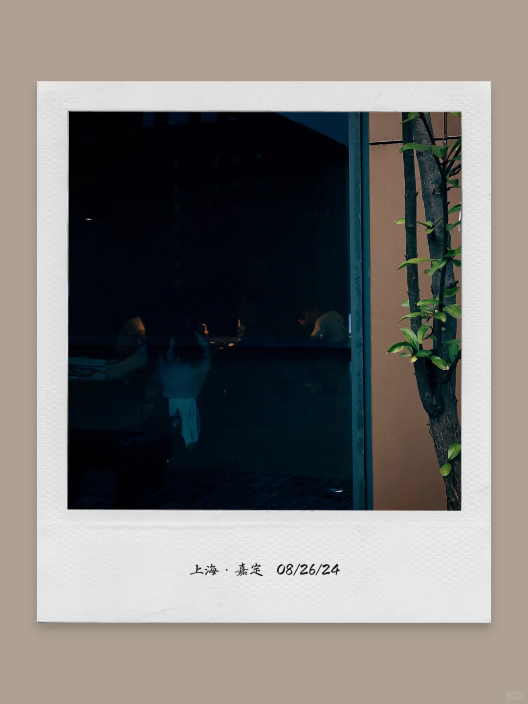 这个App太适合日常碎片plog了❗️照片长图