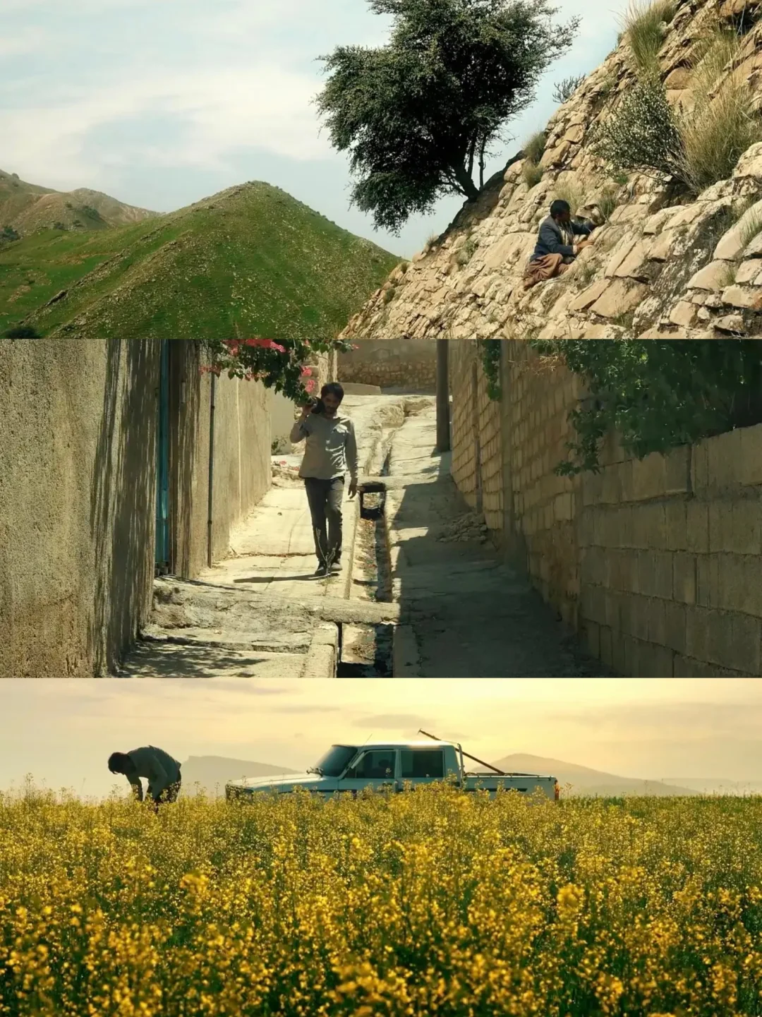 伊朗电影《风的气息》：又一冷门佳作