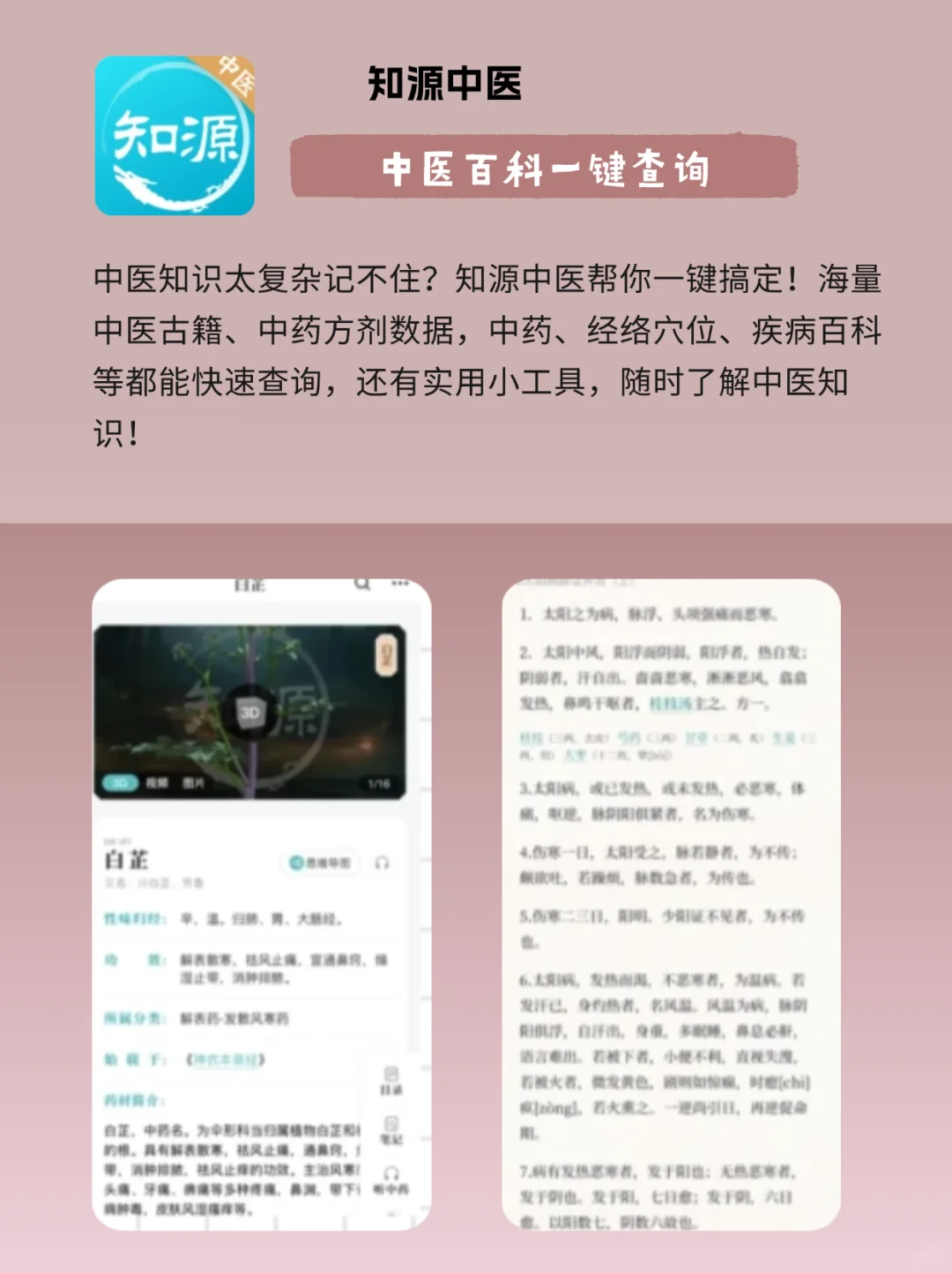 脆皮年轻人必看！6 款养生 APP