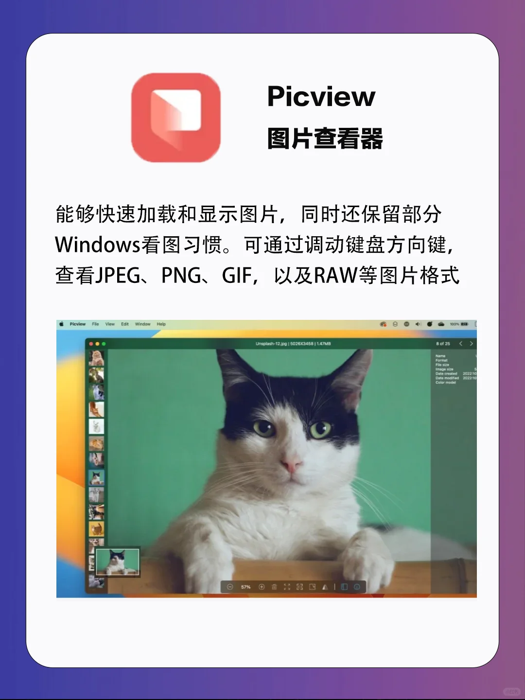 让你爱不释手💕|实用必装软件