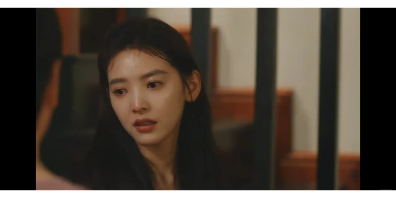 橘子代餐！本人苹果最新系统没问题！