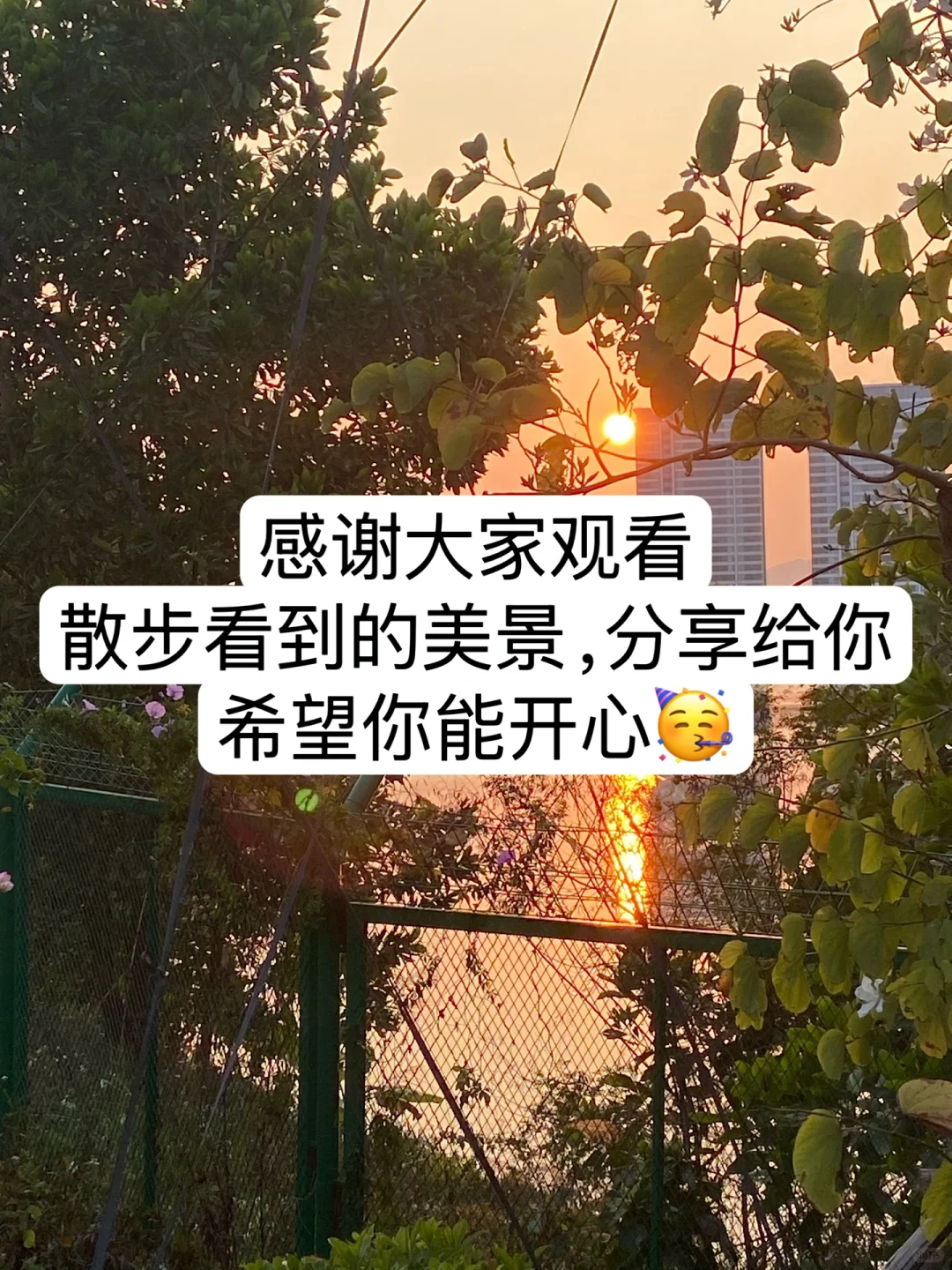 极简主义｜手机里“省钱省力”的App