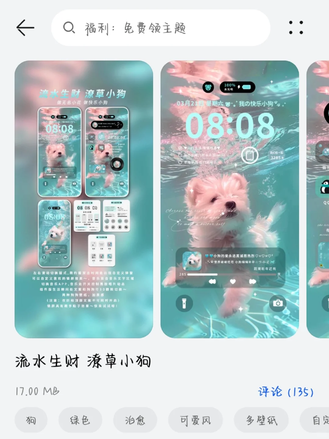 免费主题他来啦！