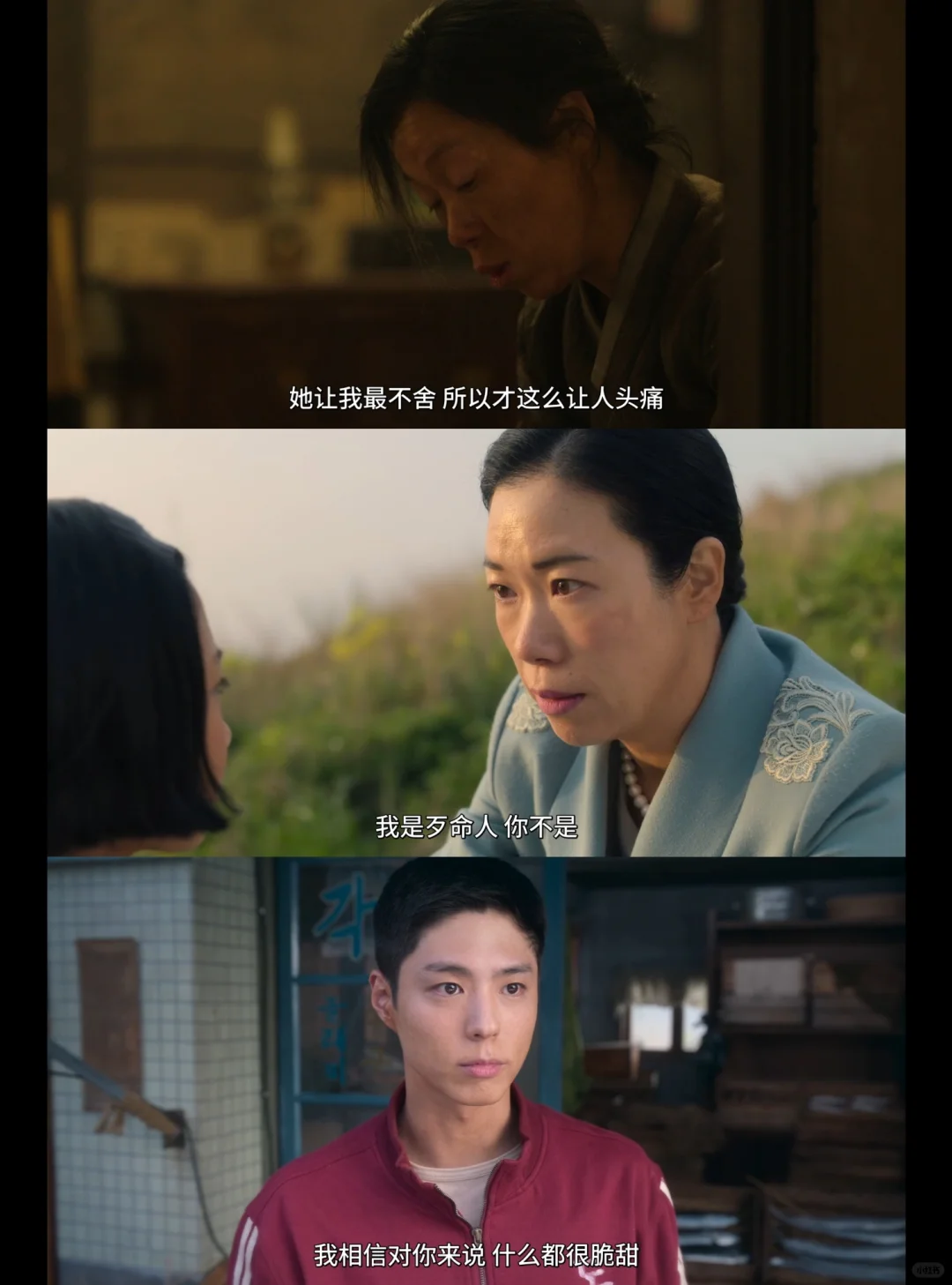 宝藏APP🔥无偿追剧看剧ios，安卓通用❗️