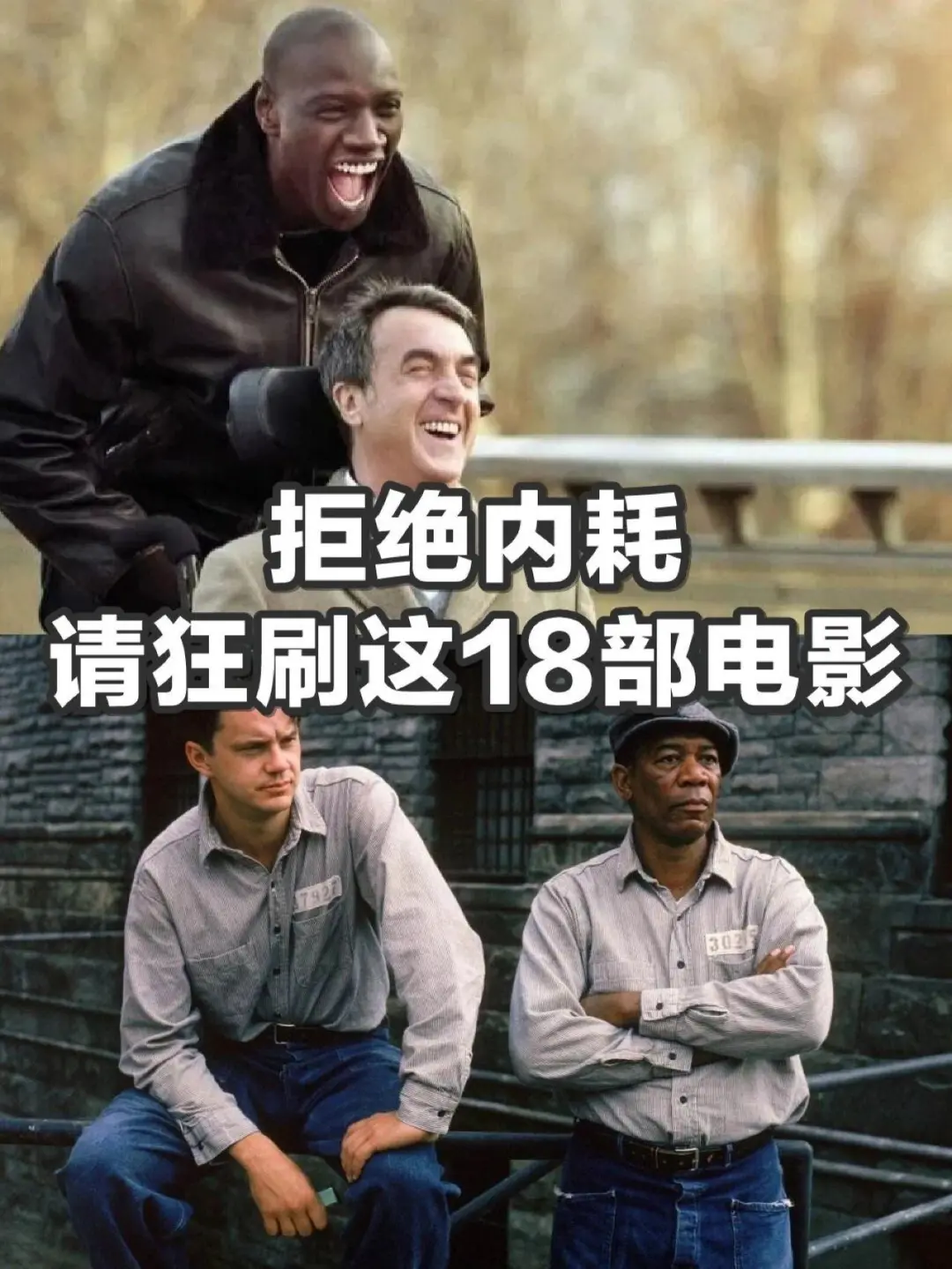 拒绝内耗、狂刷这18部电影、治愈系电影