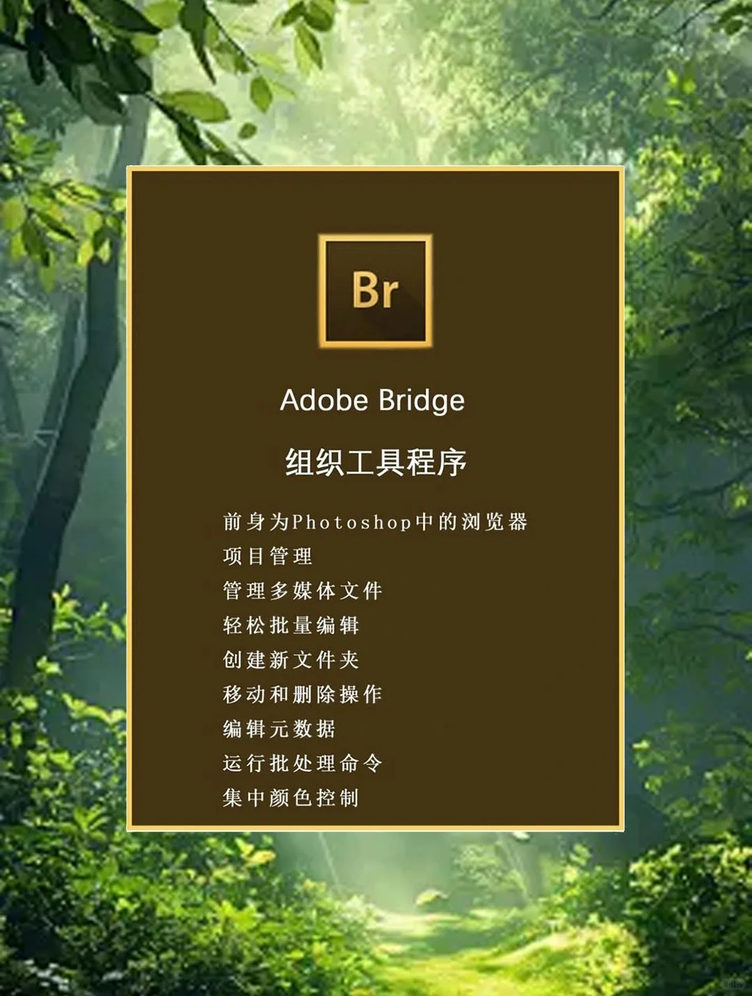 Adobe全家桶2025最新版，一键安装免激活。