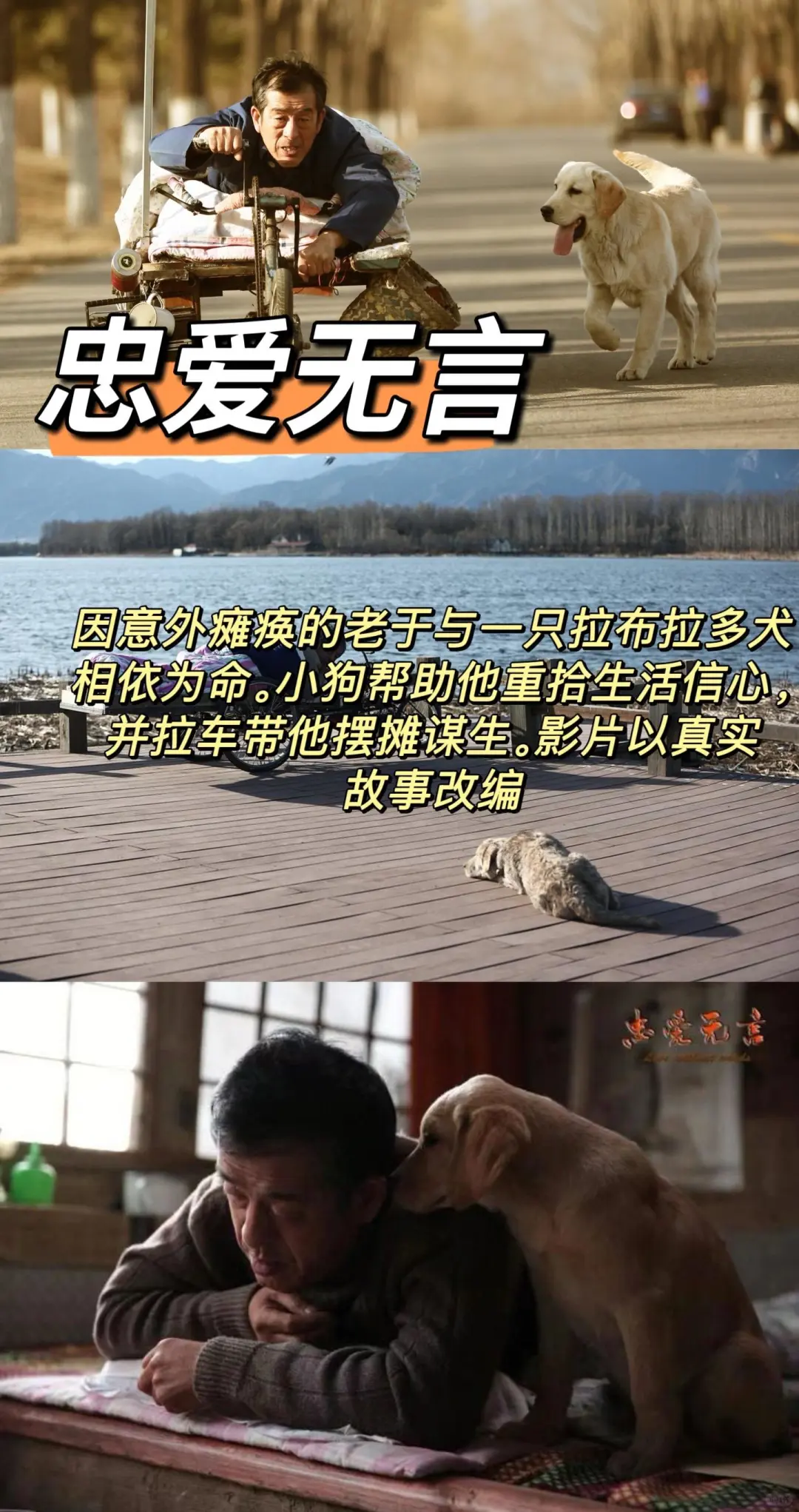 10部催泪电影、哭着也要看完系列