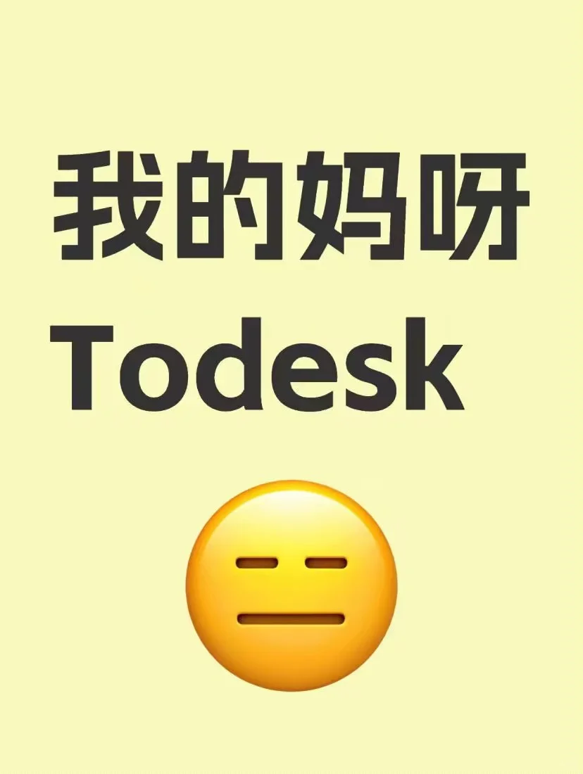 我的妈呀，todesk真的太吓人了
