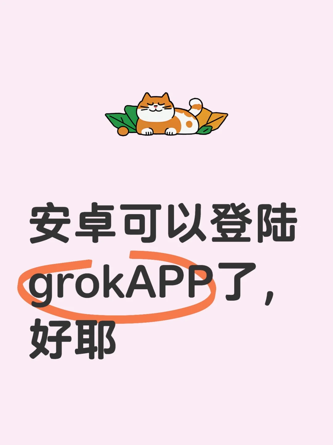 安卓可以下载登陆grokAPP