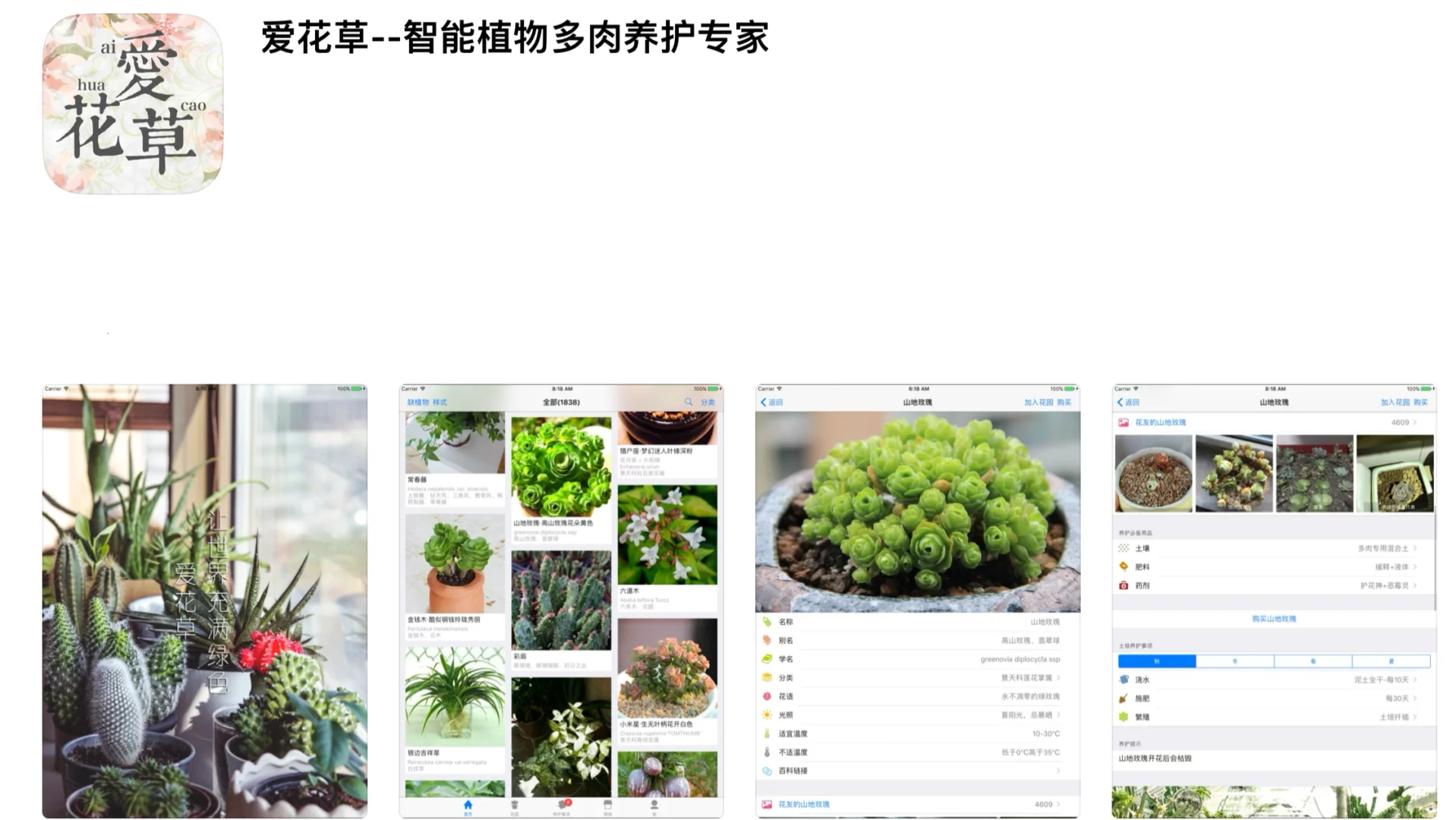 科普软件|植物爱好者必备植物识别APP🌿