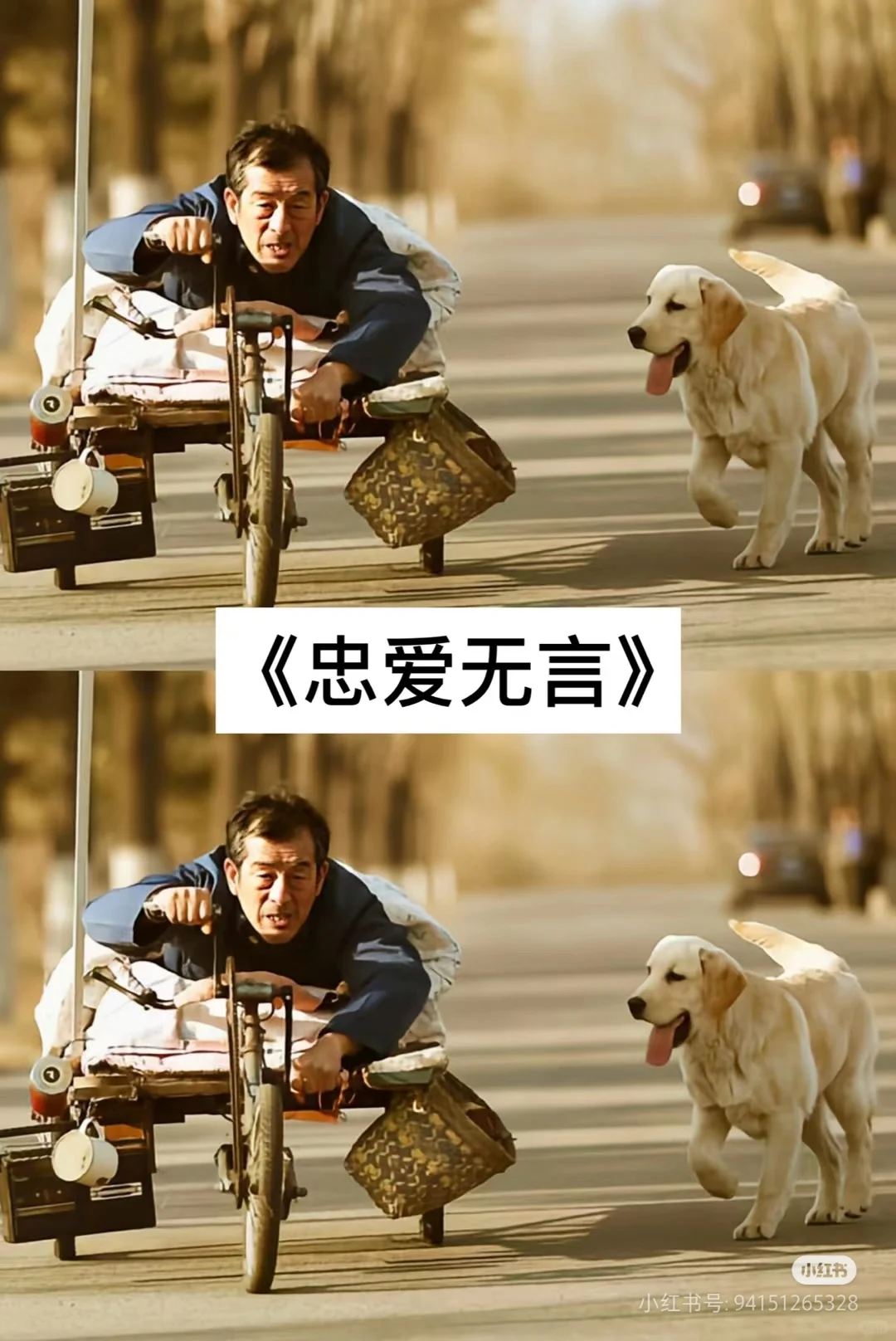 18不让你哭成狗的催泪电影