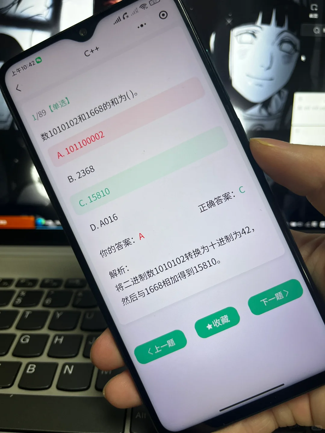 2025年度最受欢迎的编程学习APP！