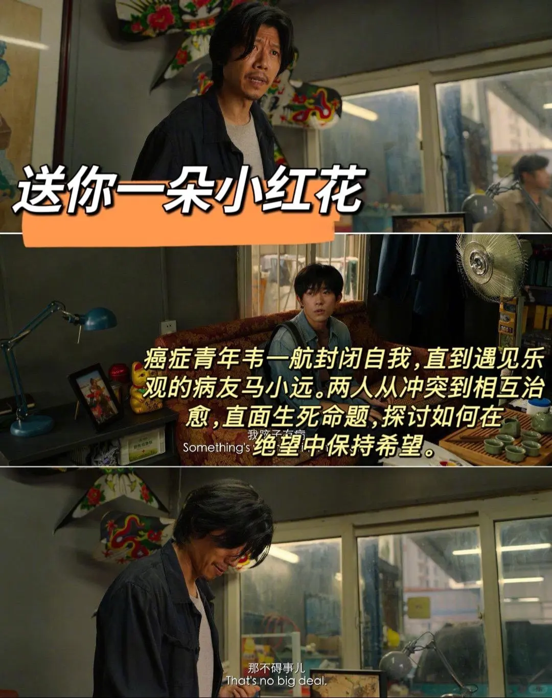 10部催泪电影、哭着也要看完系列