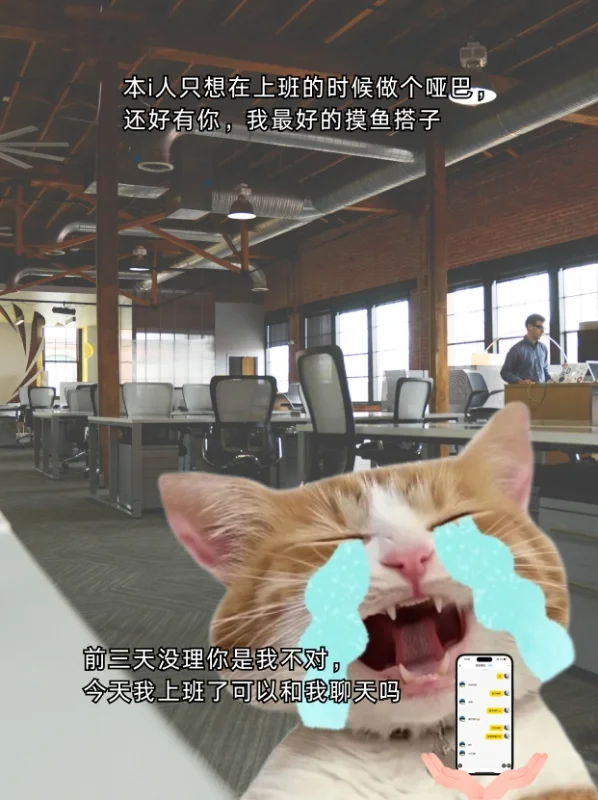 i人上班的苦谁懂|识识让我变成e人模样