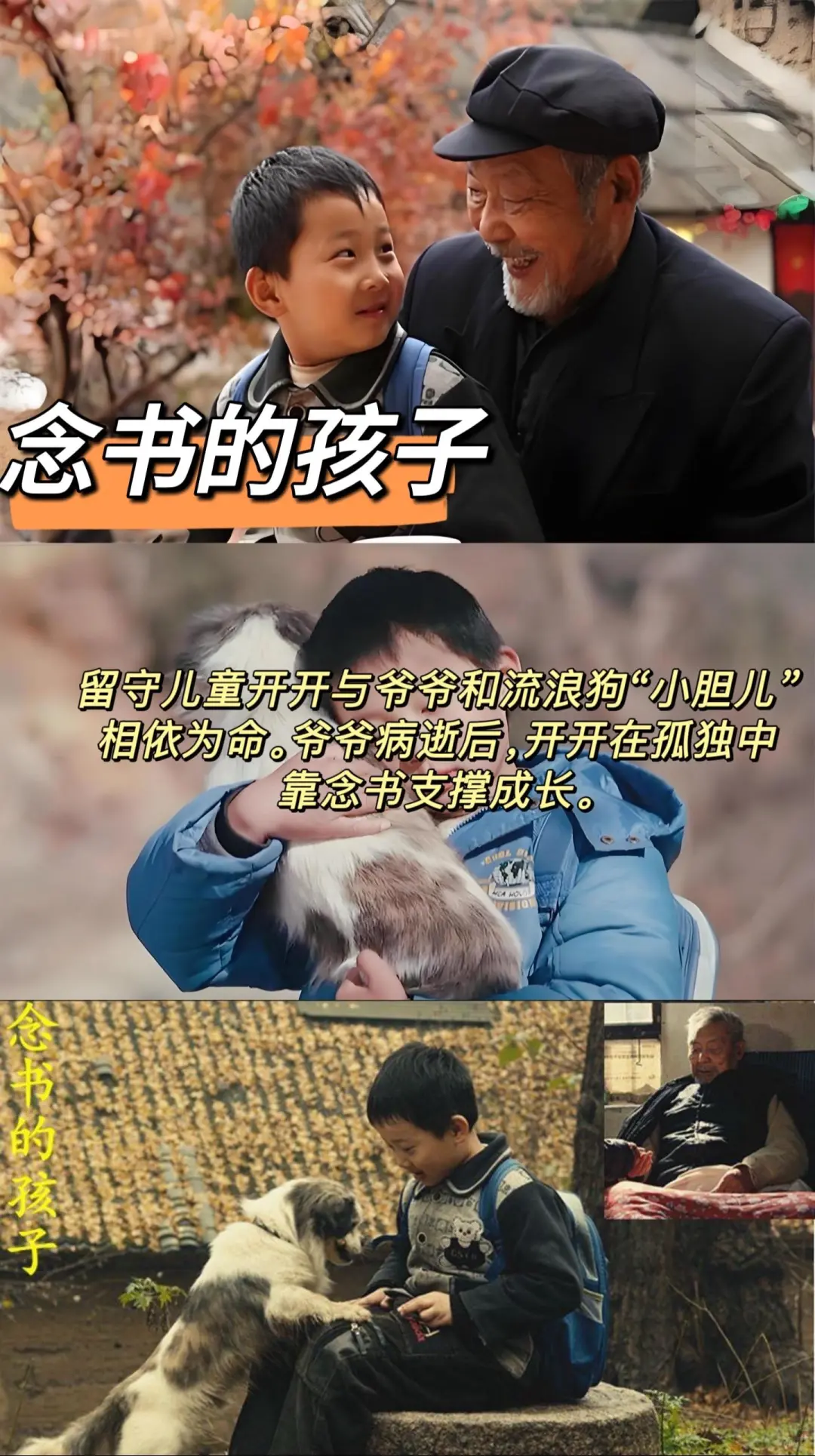 10部催泪电影、哭着也要看完系列