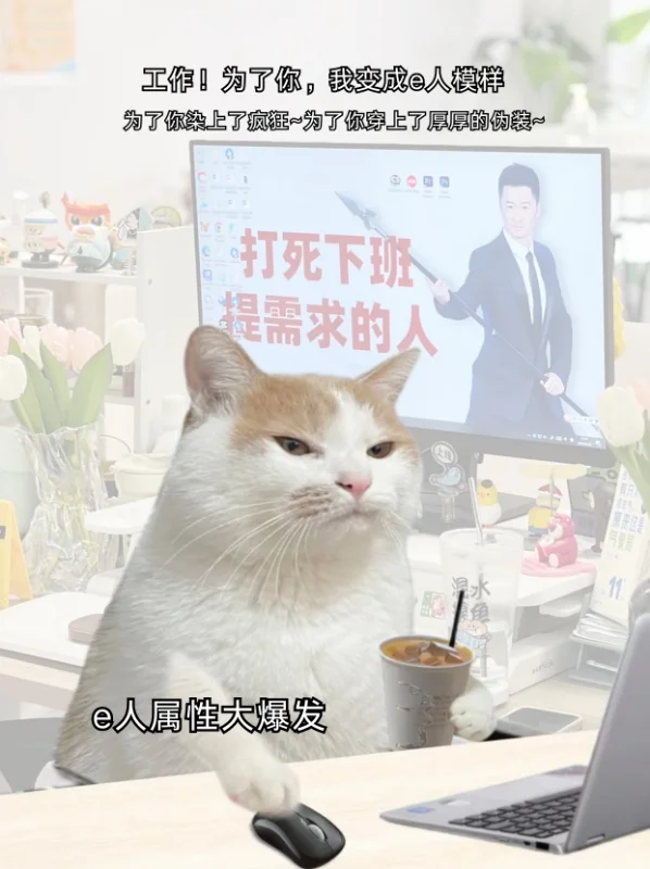 i人上班的苦谁懂|识识让我变成e人模样