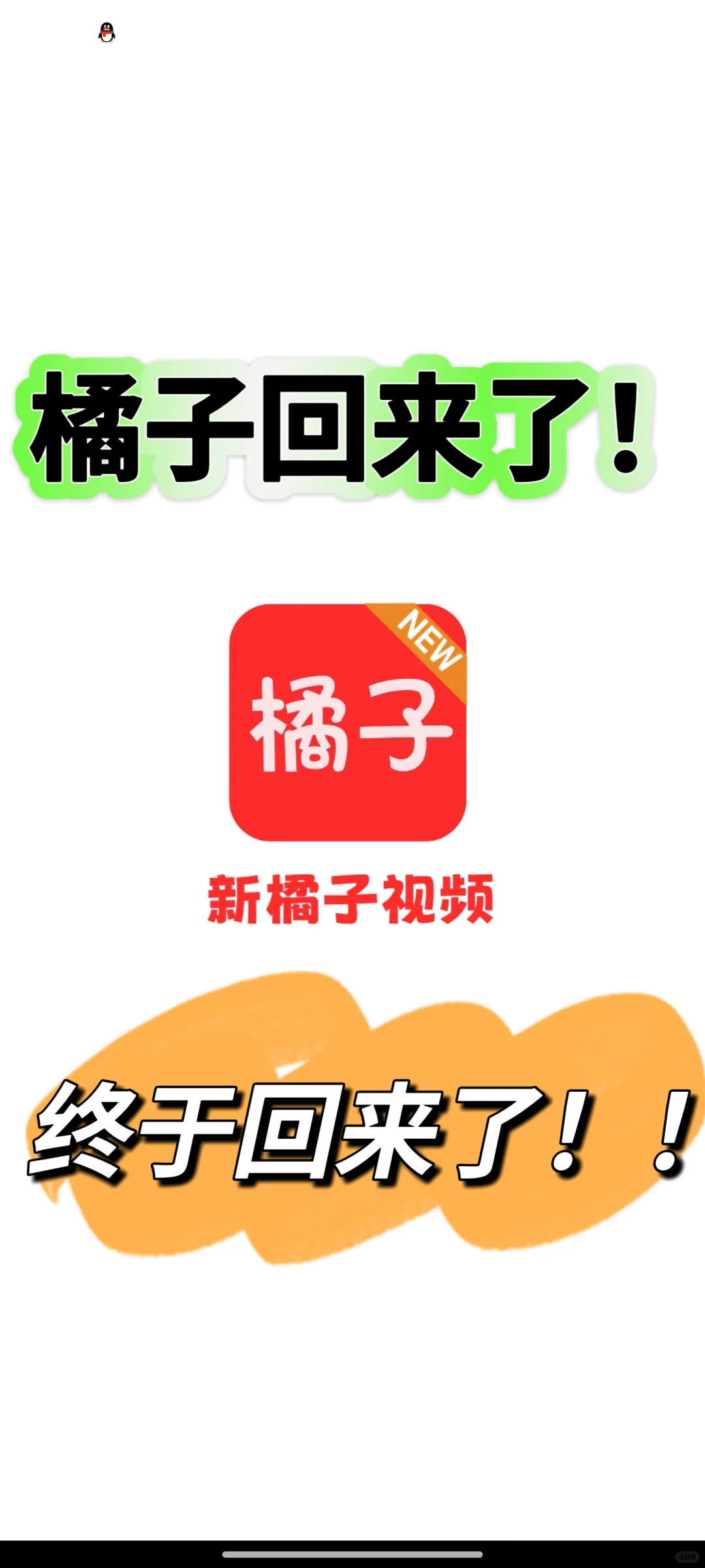 心心念念的橘子🍊回来了！ 好哇