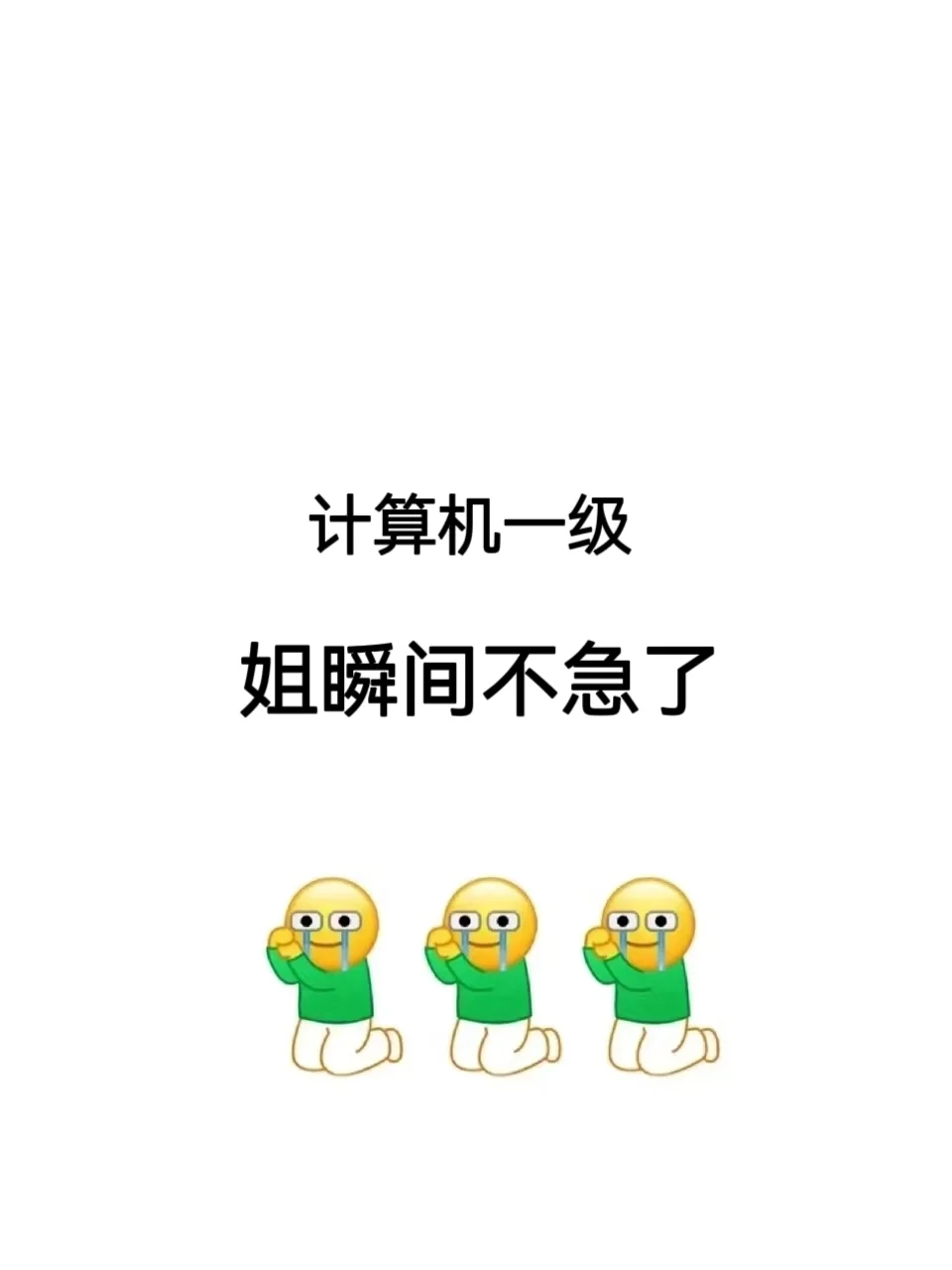 计算机一级 一个很变态…但是可以过线的app