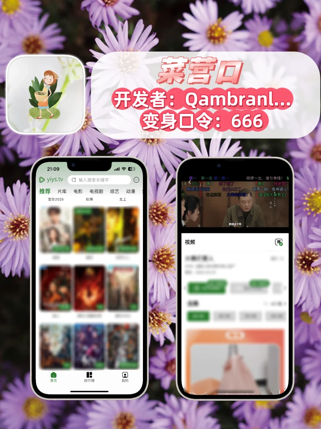 IOS苹果追剧小工具合集🌸