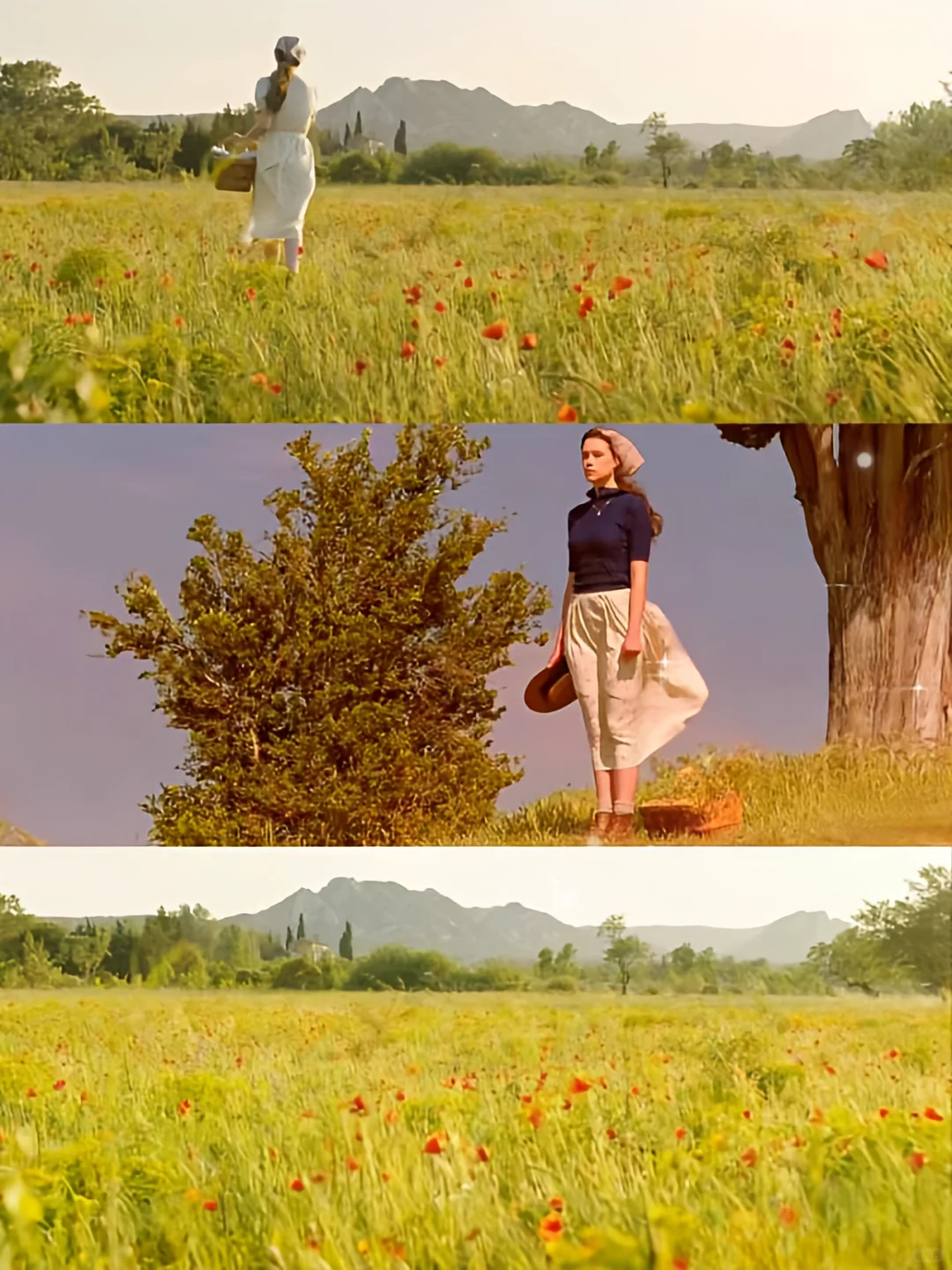 内心要有多幸福，才能拍出这样的电影🌈