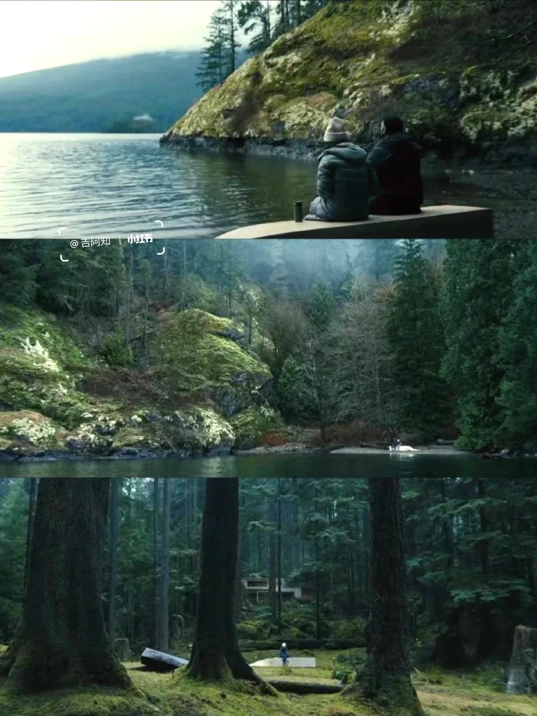 后劲好大啊😭怎么会有这么好看的电影‼️