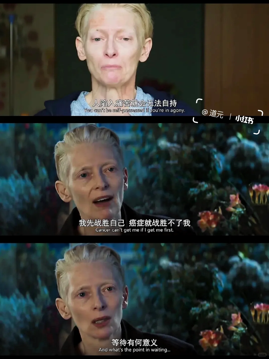 好震撼😭从未想过这是死亡的颜色...