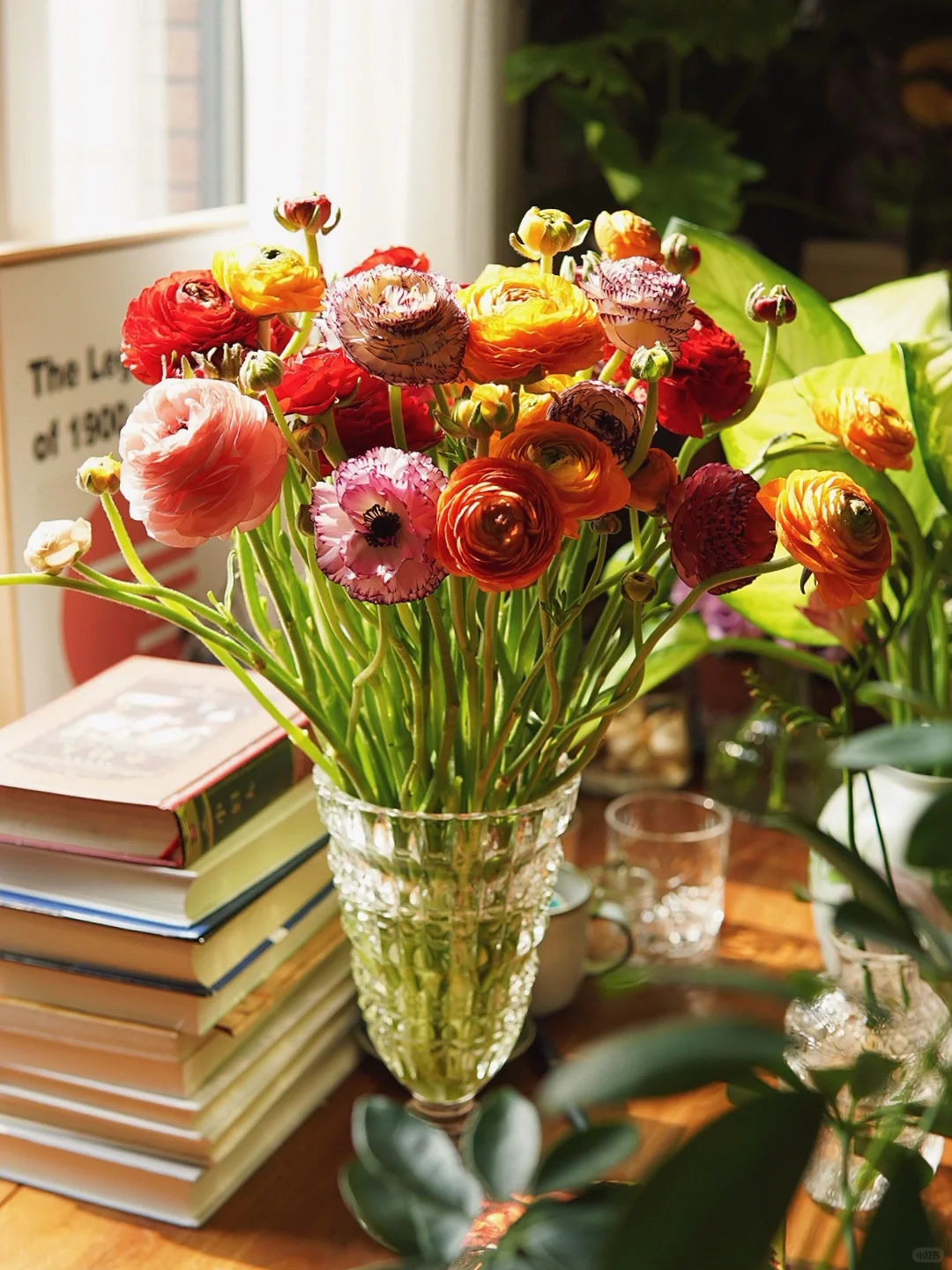 喝茶日常｜用一部唯美的女性主义电影佐茶