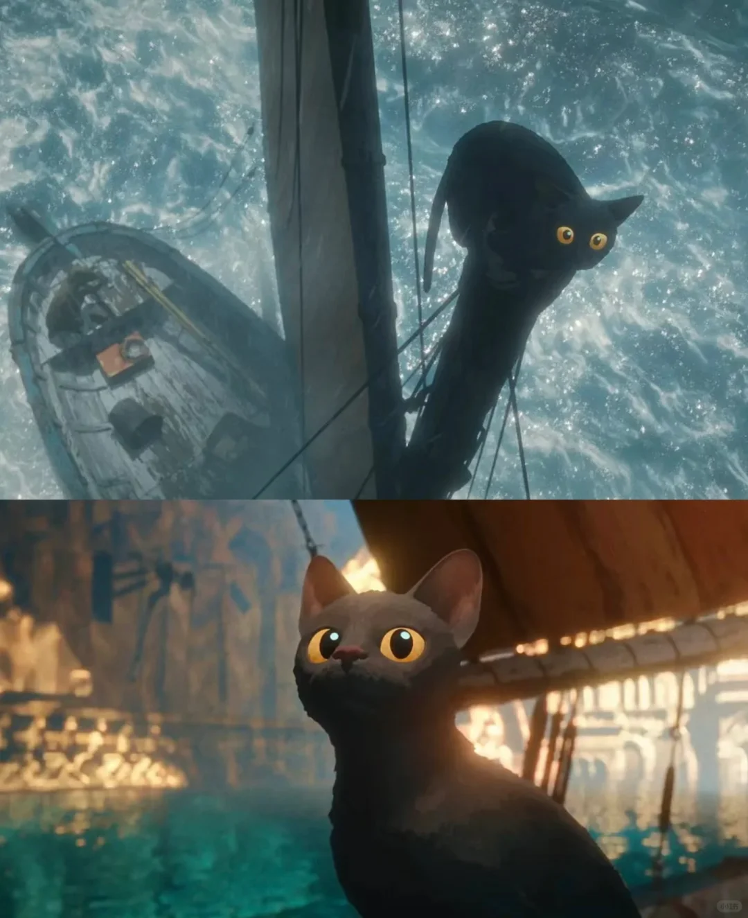 巨好看！！！猫猫的奇幻漂流《Flow》，准备二刷！