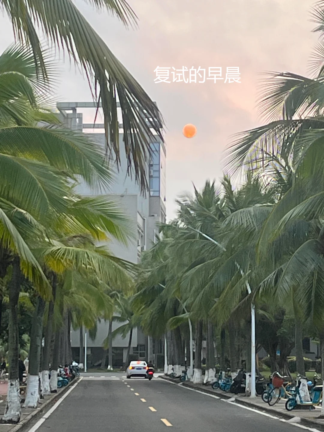 25、26届海南大学电影专硕看过来！