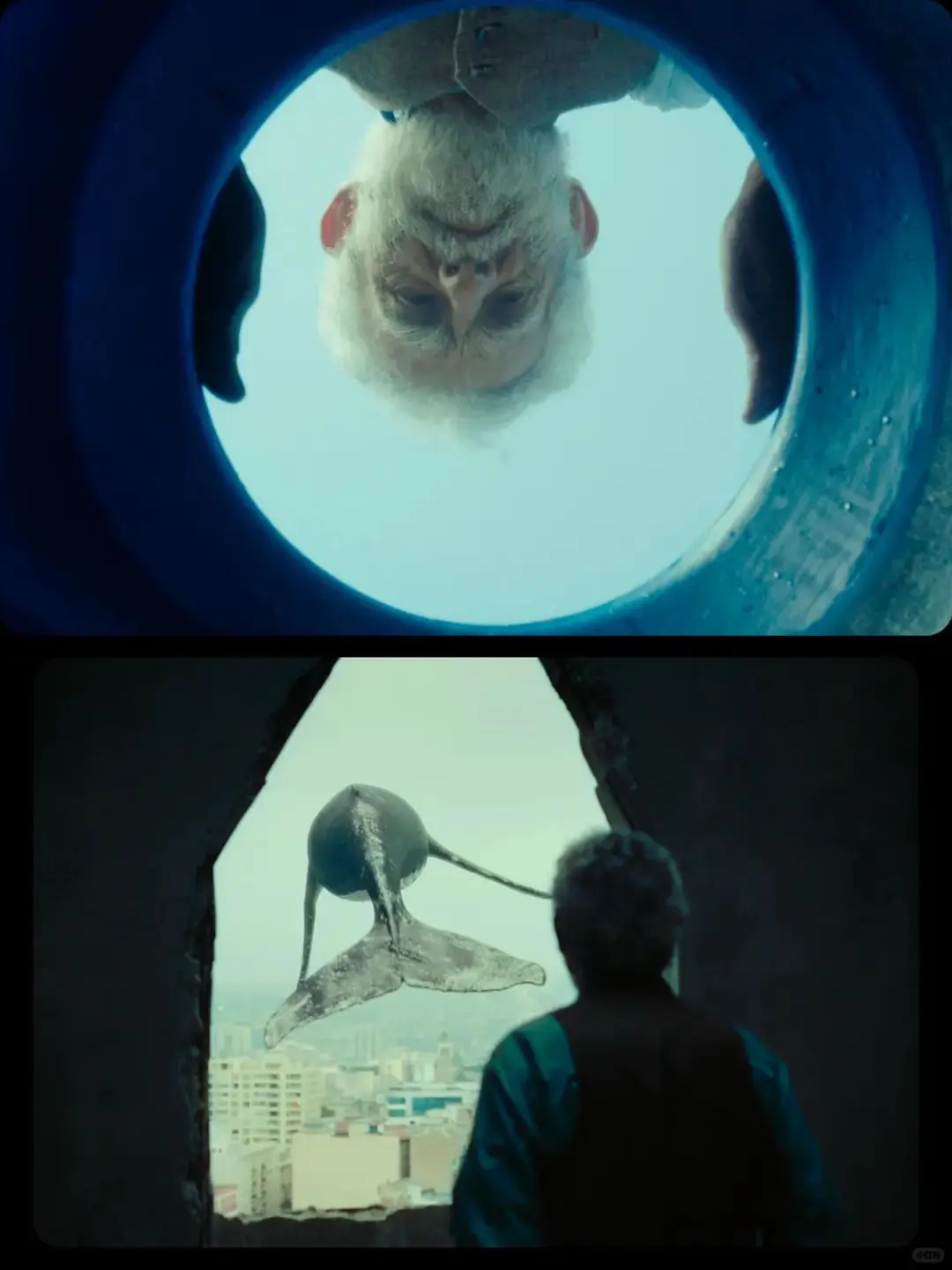 我要向全世界推荐这部电影😭后劲太大了❤️