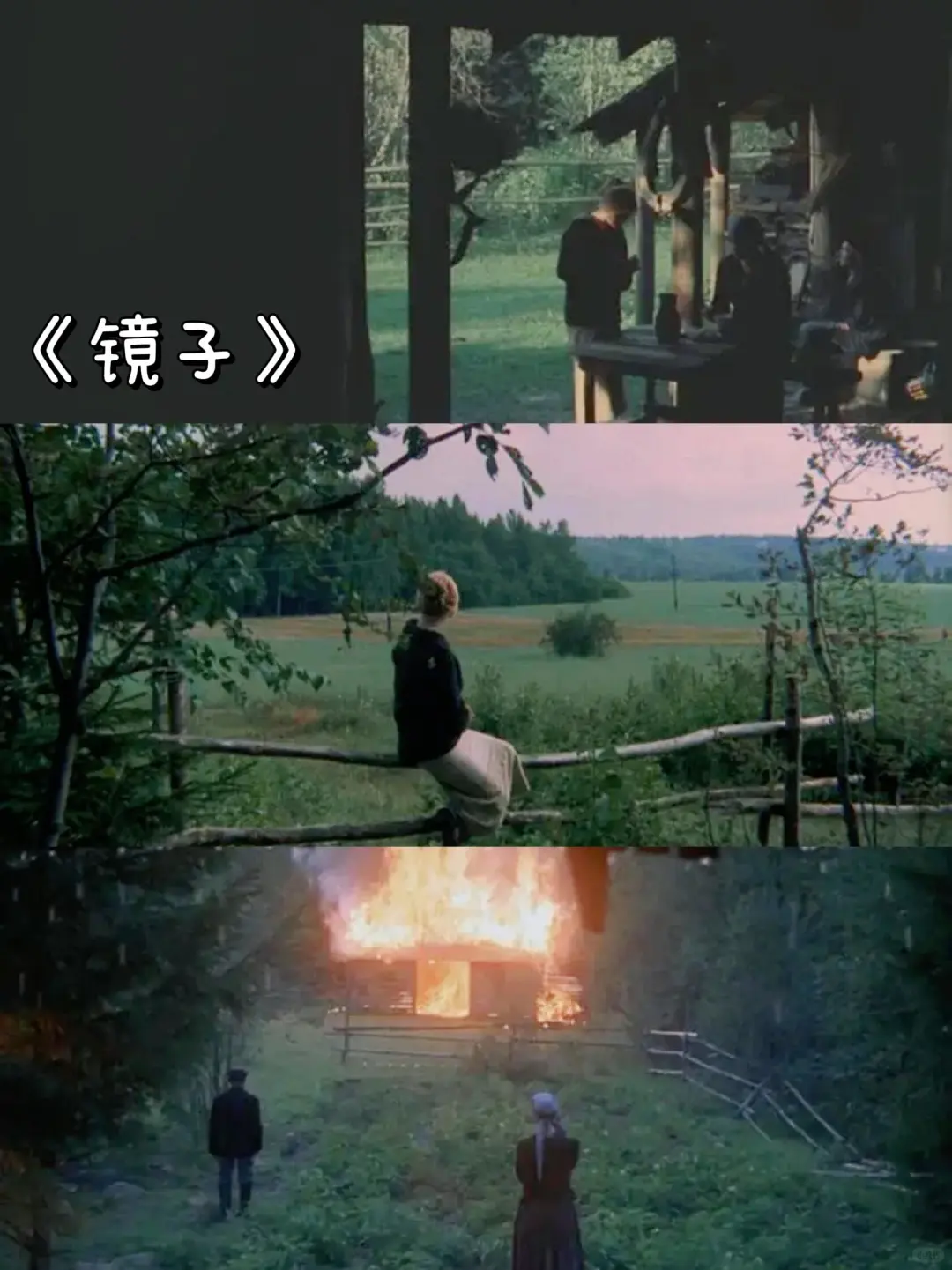 🎬自我美感提升❗电影美学必看清单❗