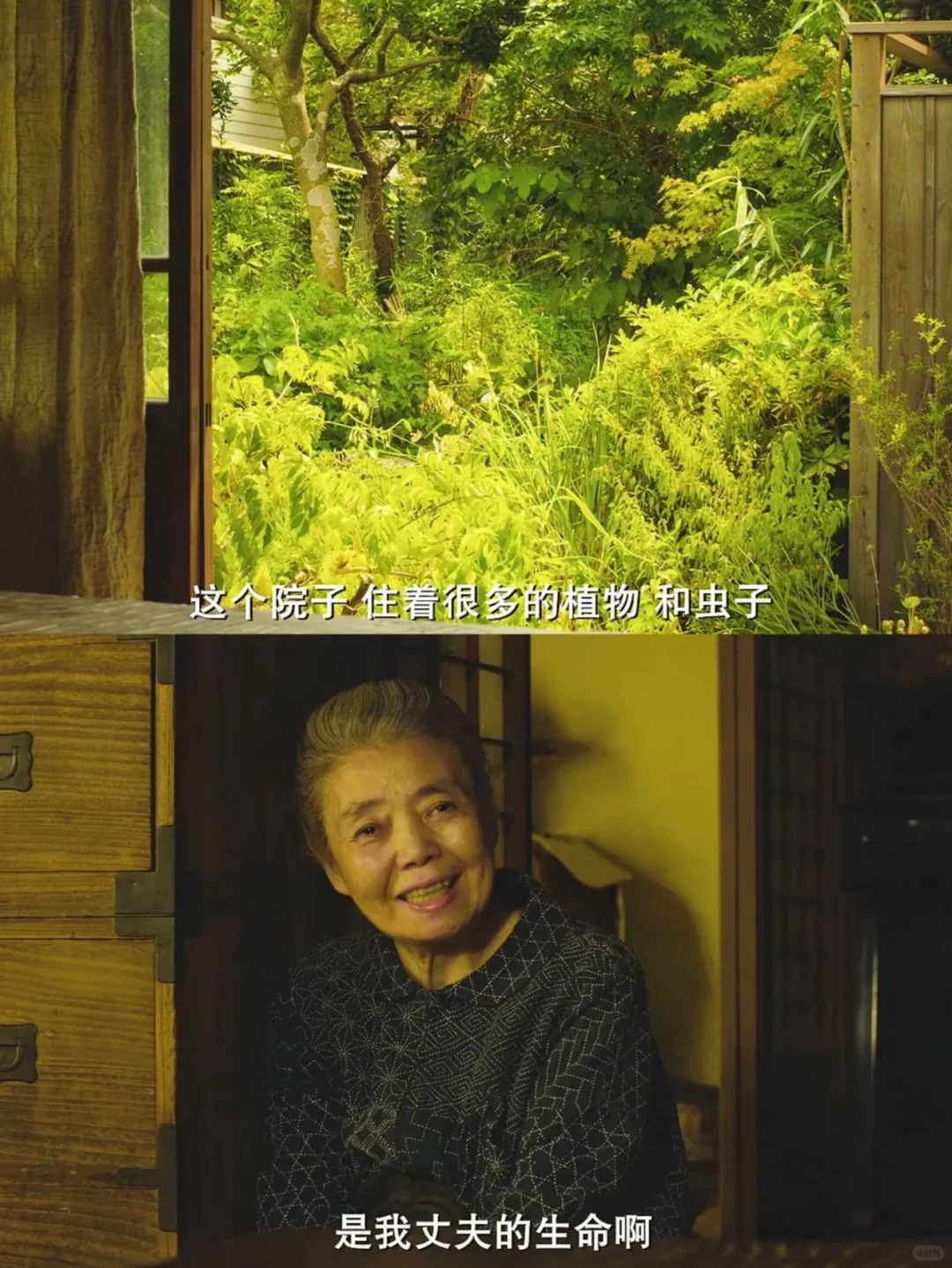 100部电影计划:第八部