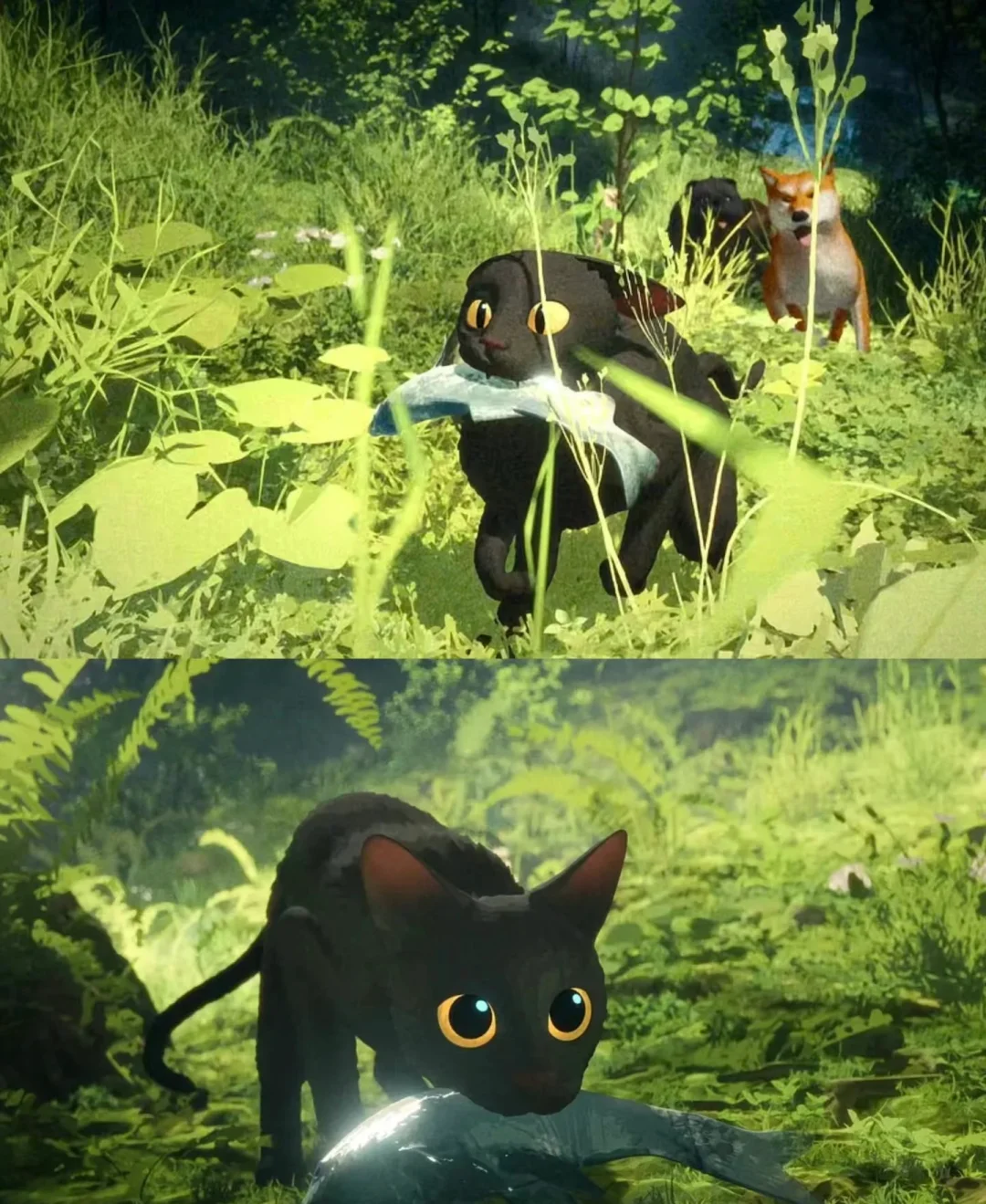 巨好看！！！猫猫的奇幻漂流《Flow》，准备二刷！