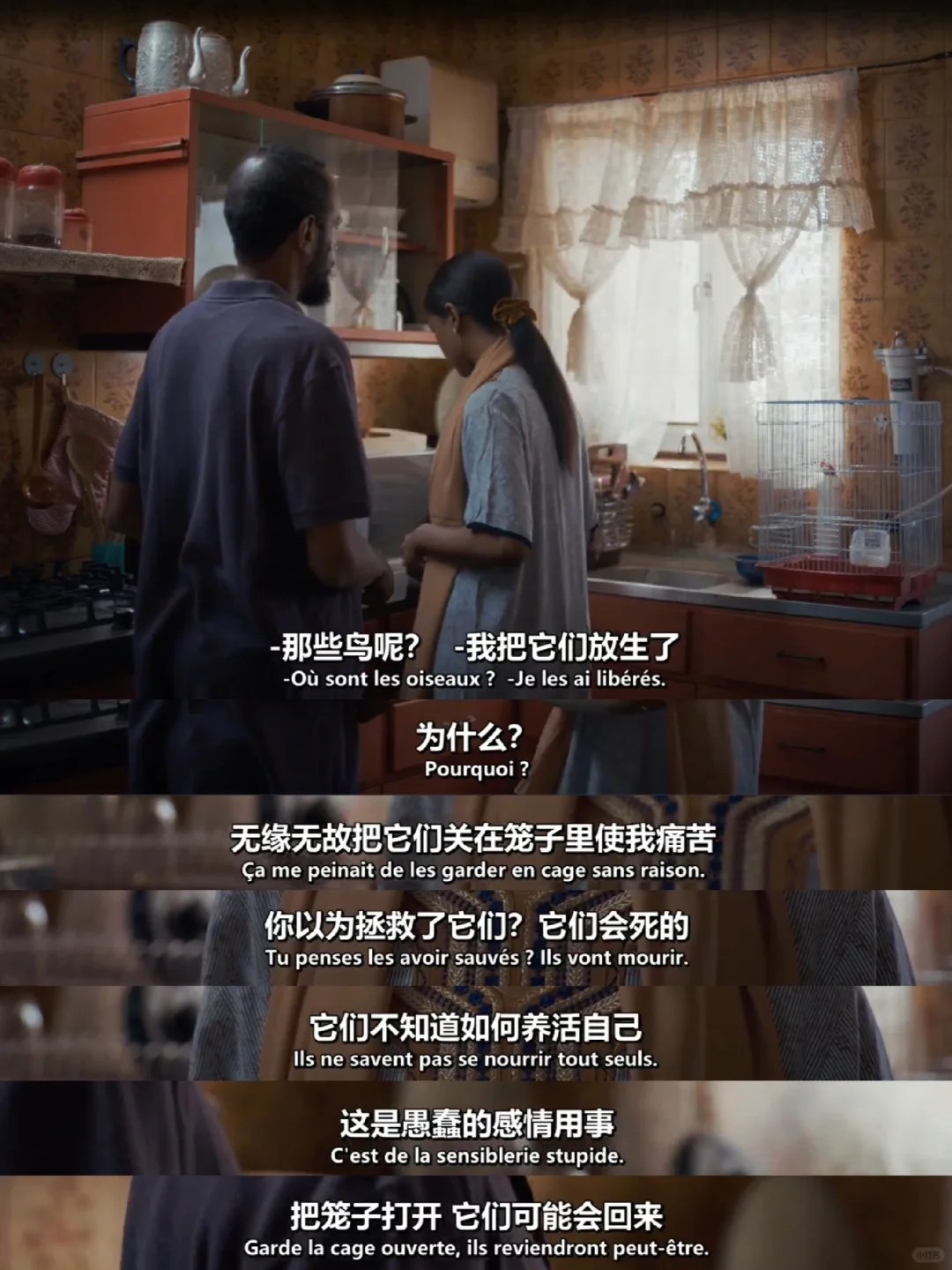 戛纳评委集体起立的冷门神作！后劲太大了！