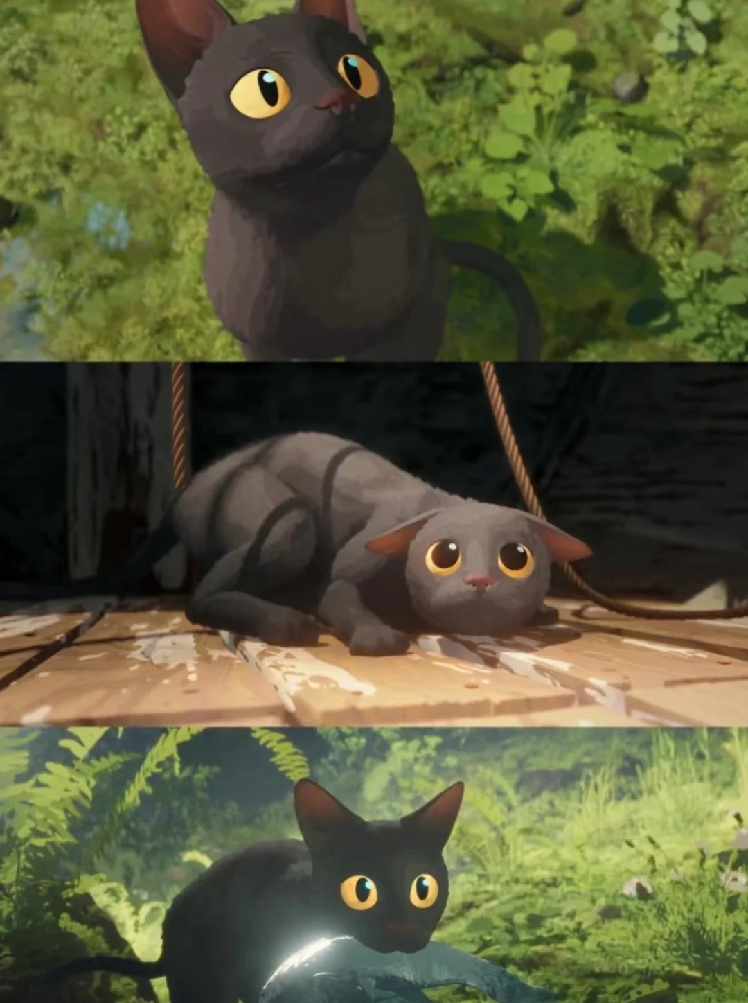 巨好看！！！猫猫的奇幻漂流《Flow》，准备二刷！