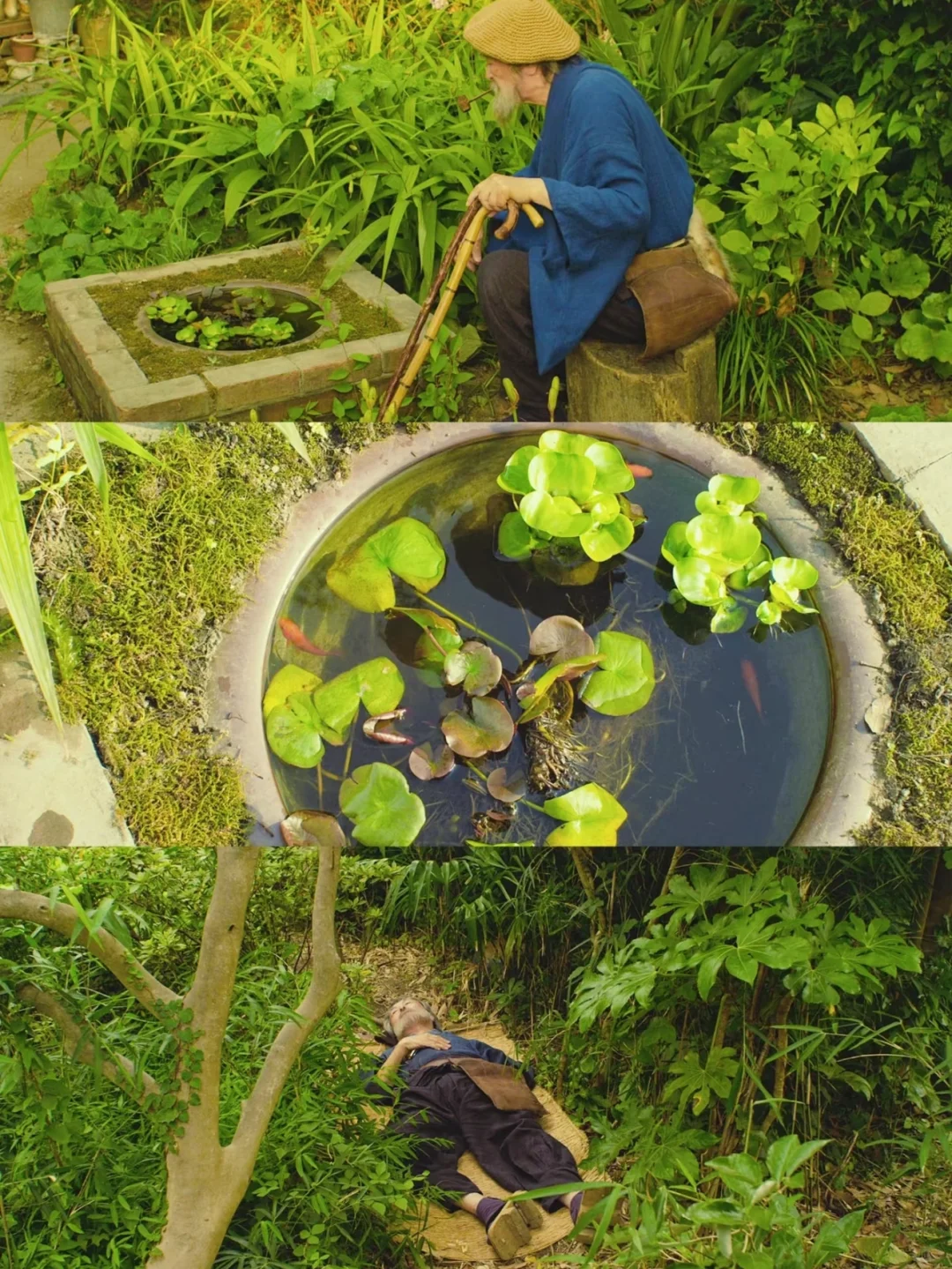 100部电影计划:第八部